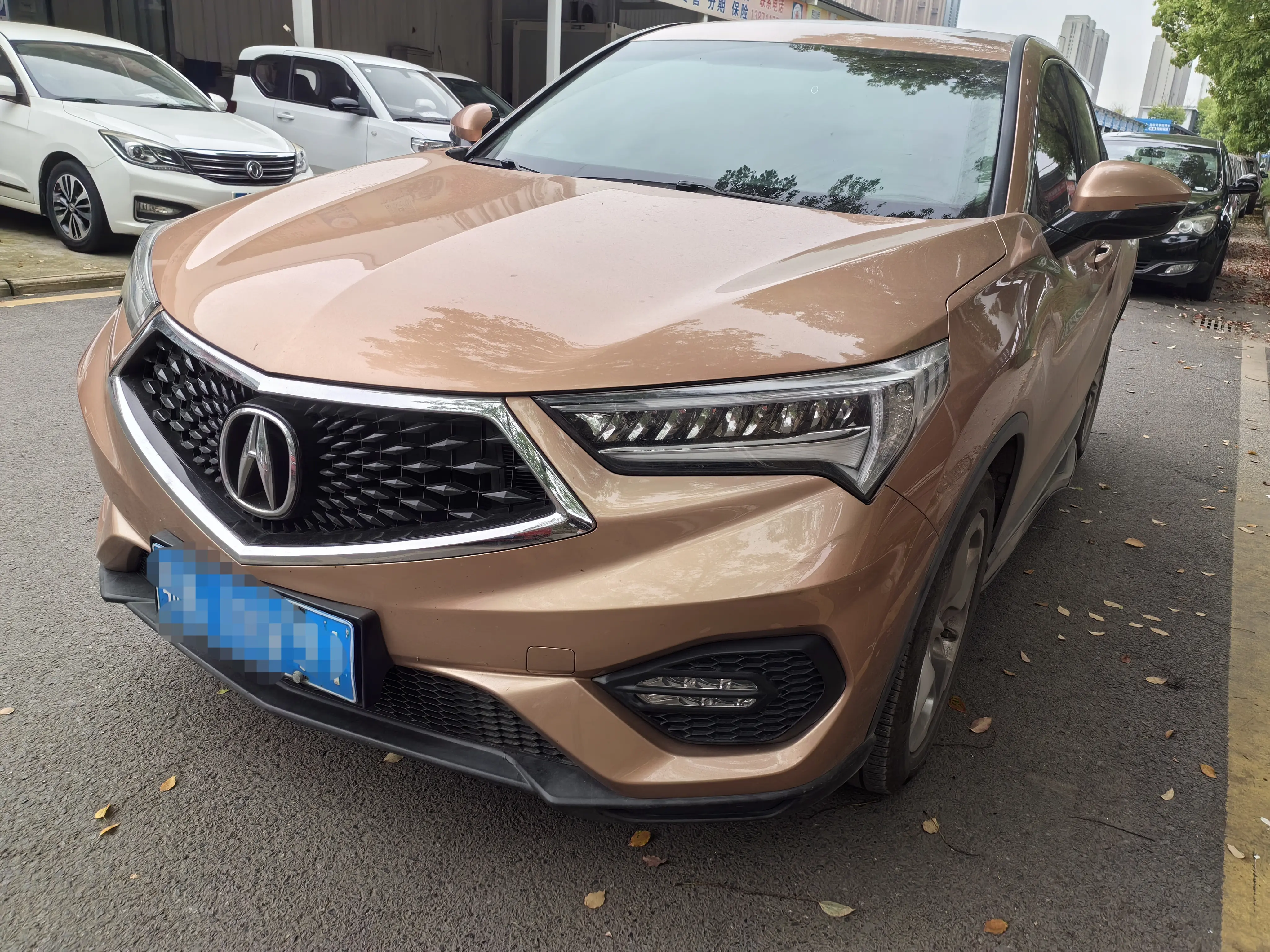 Acura CDX