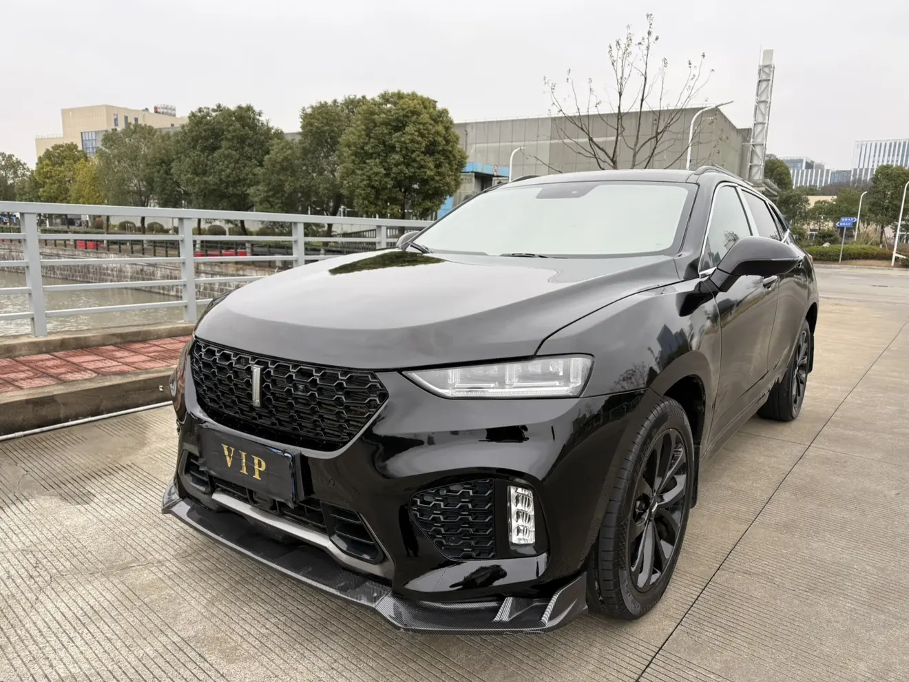 Wey Wei brand VV7