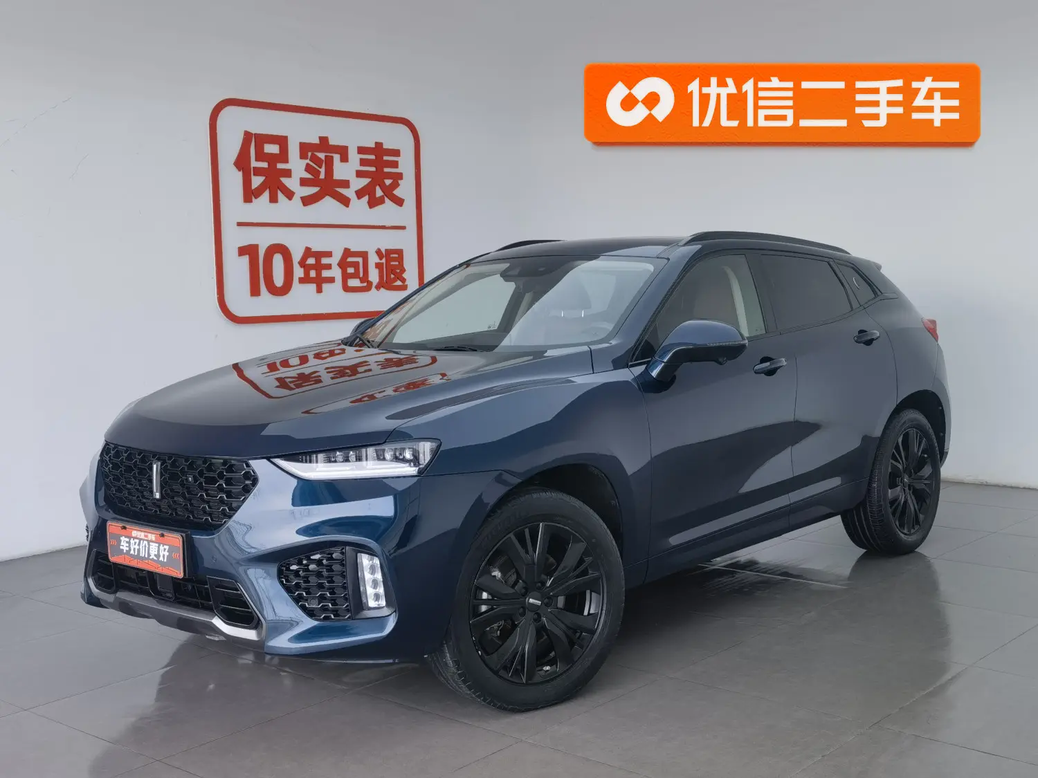 Wey Wei brand VV7