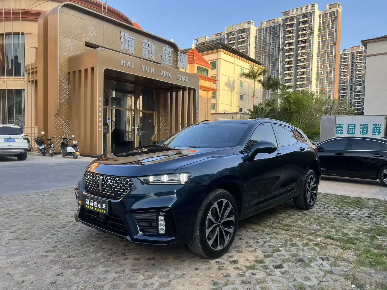 Wey Wei brand VV7