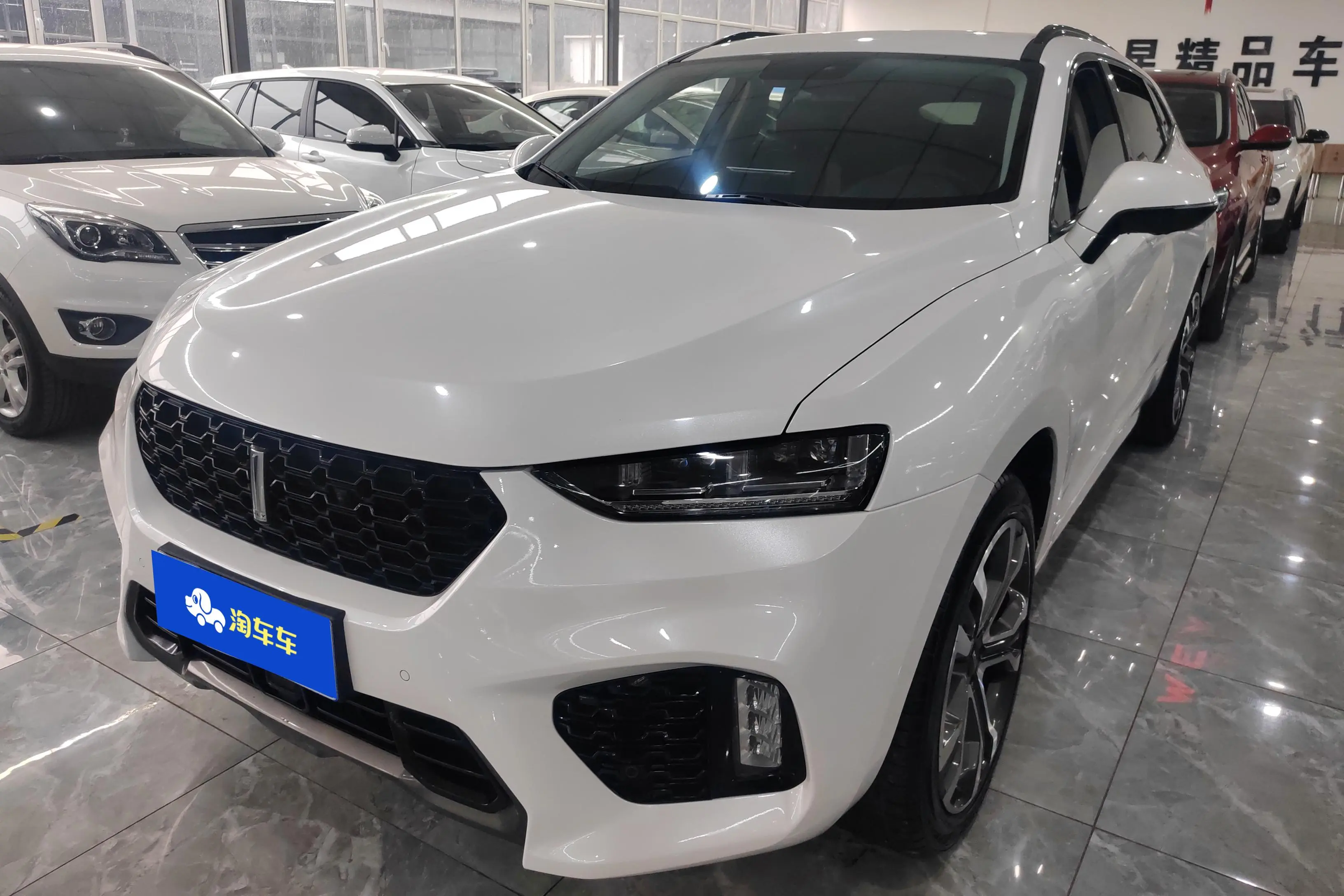 Wey Wei brand VV7