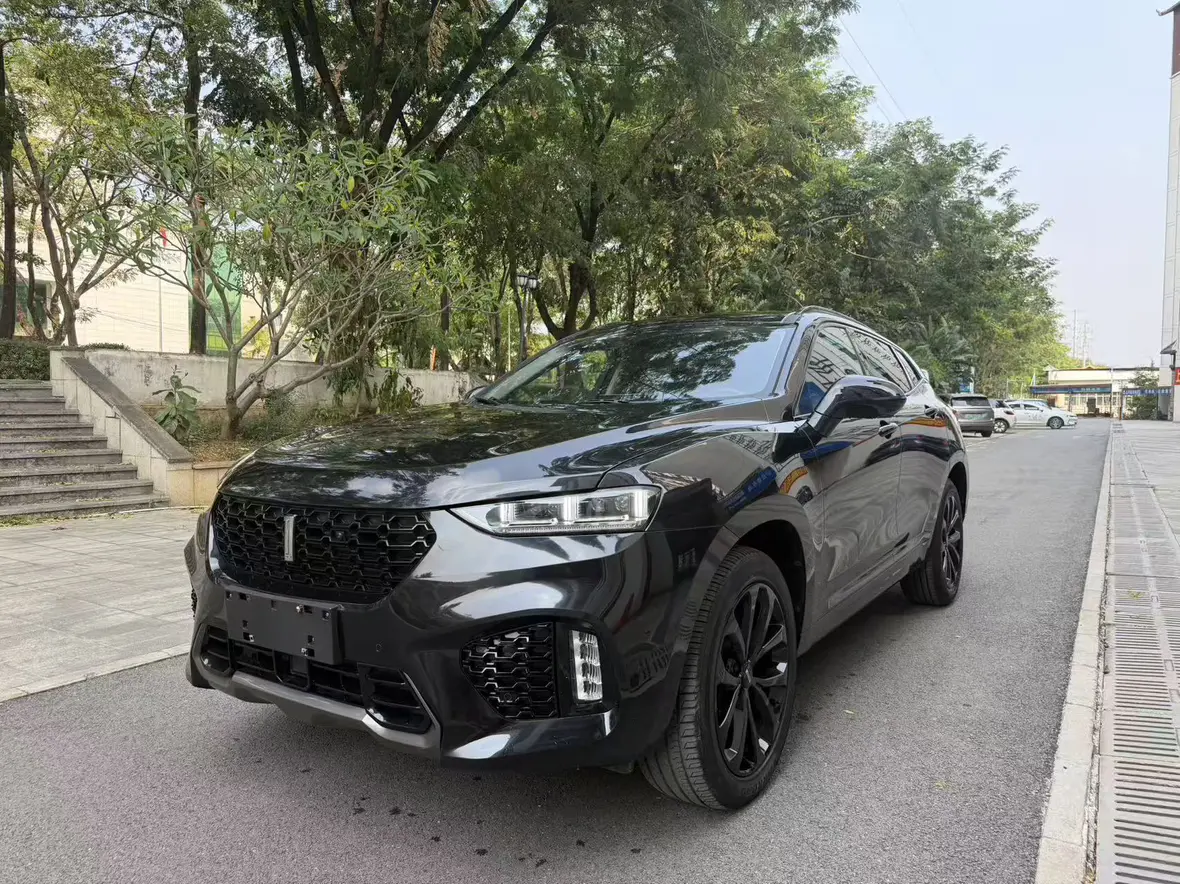 Wey Wei brand VV7