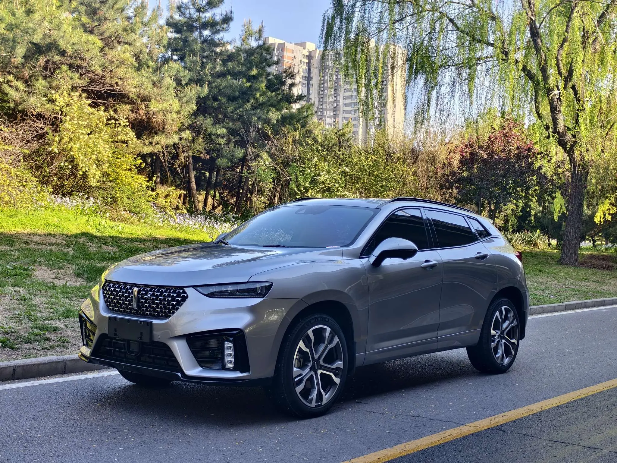 Wey Wei brand VV7