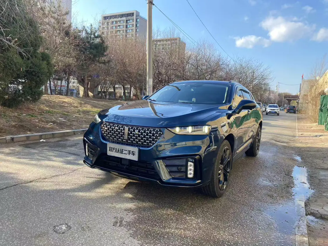 Wey Wei brand VV7