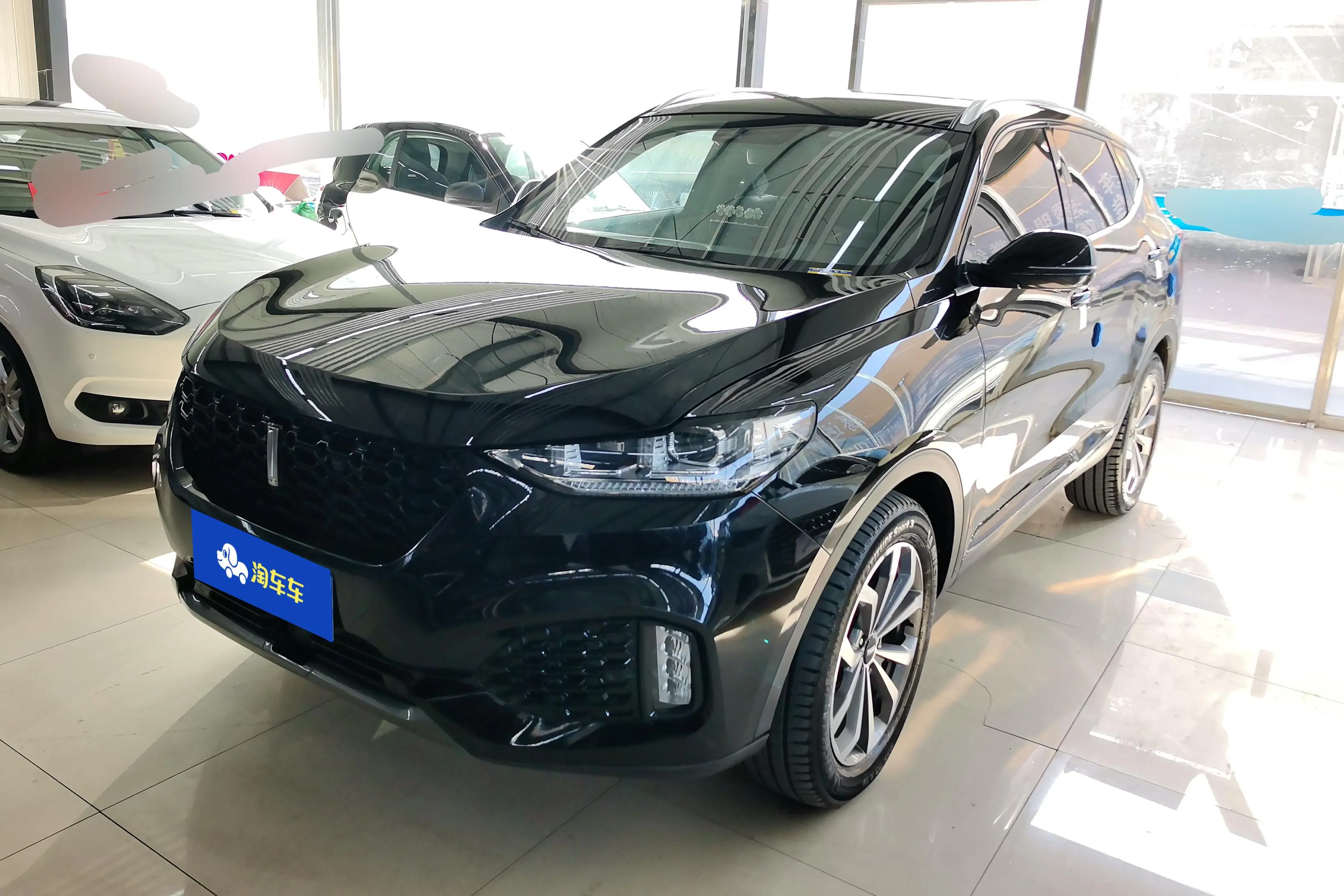 Wey Wei brand VV6