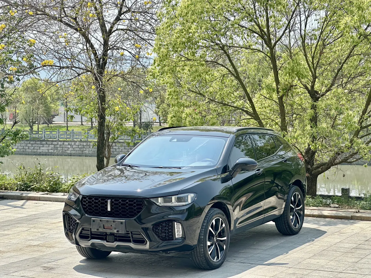 Wey Wei brand VV5