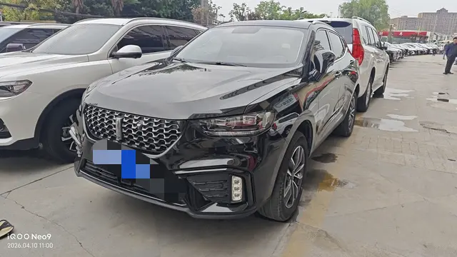Wey Wei brand VV5