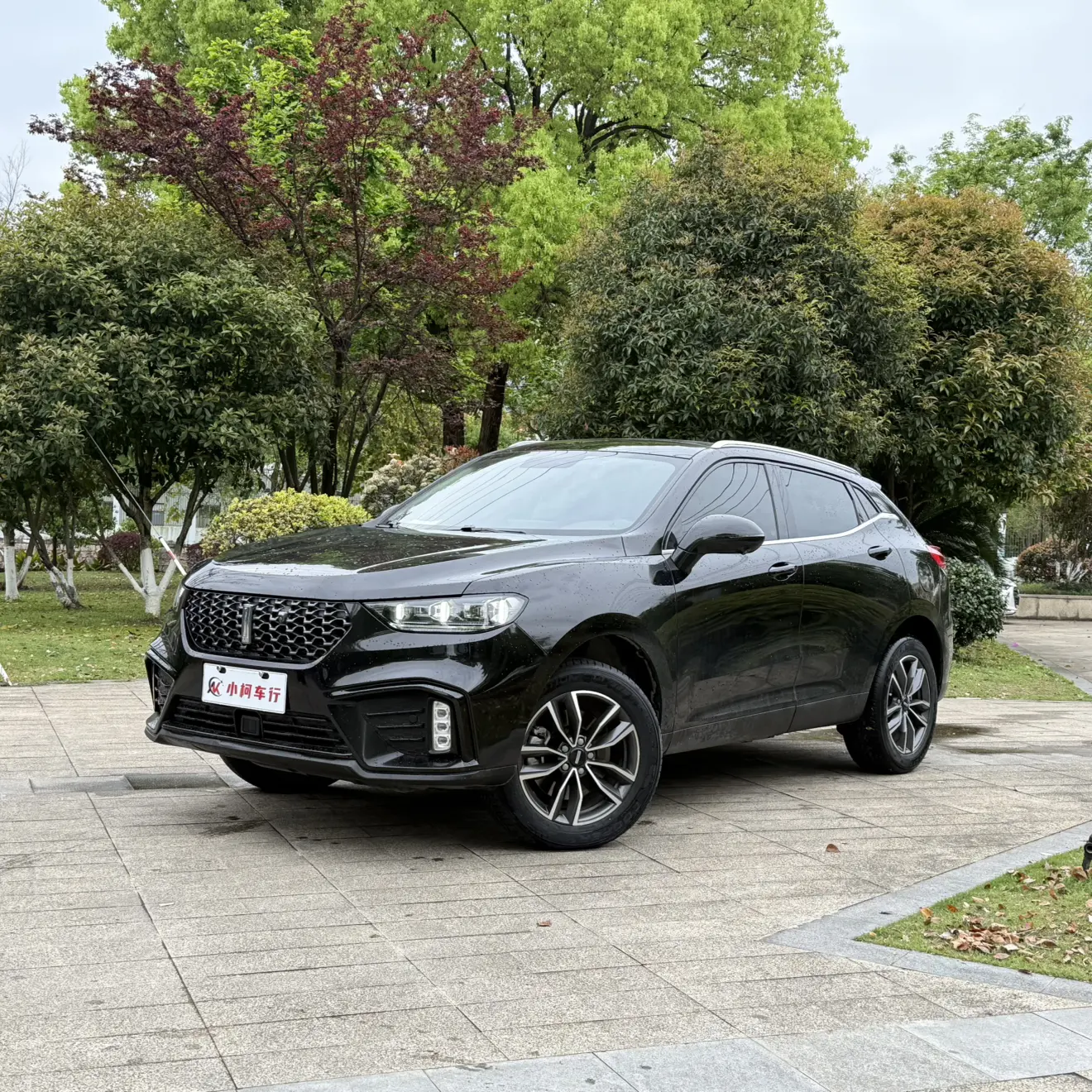 Wey Wei brand VV5