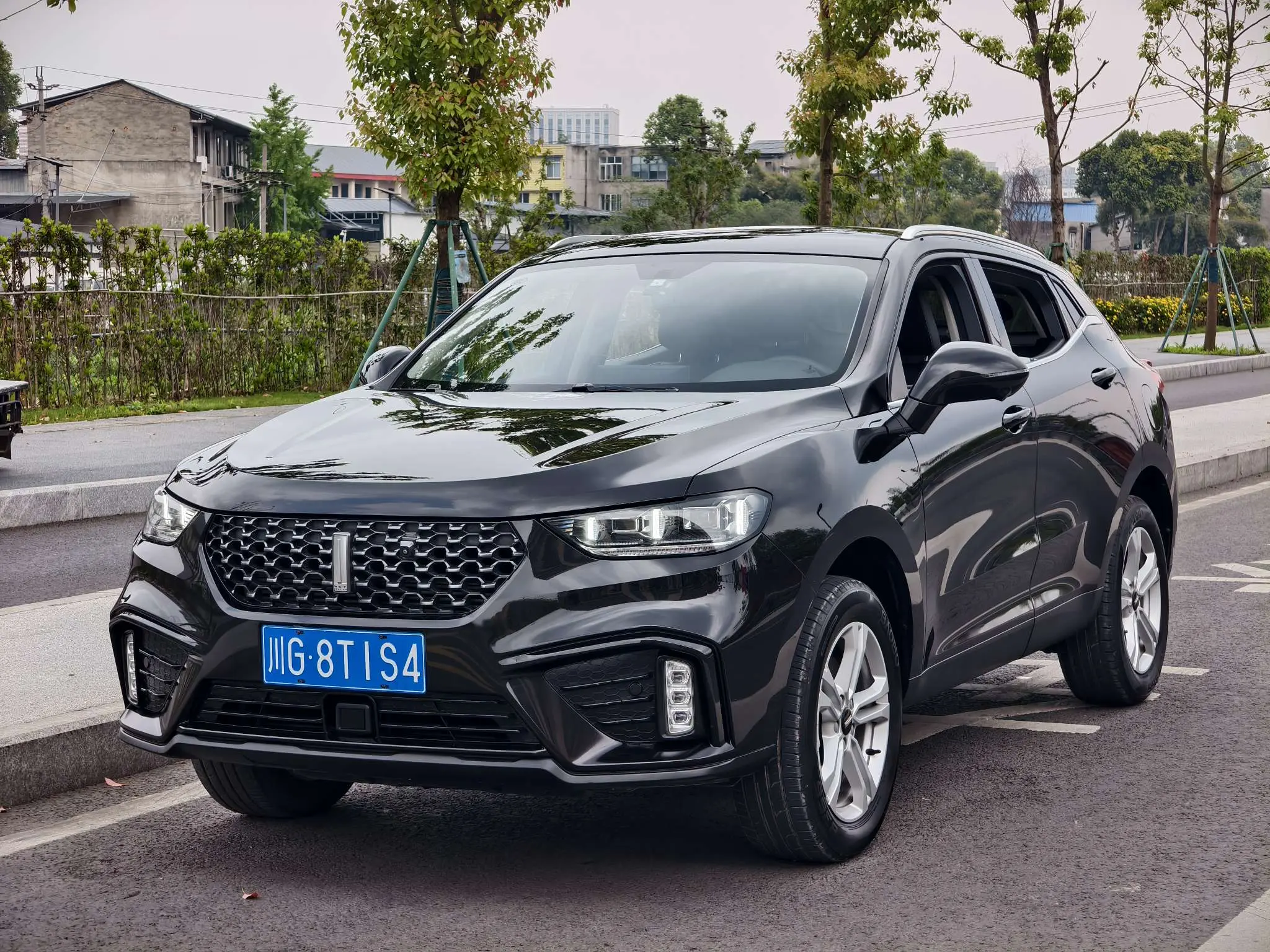 Wey Wei brand VV5