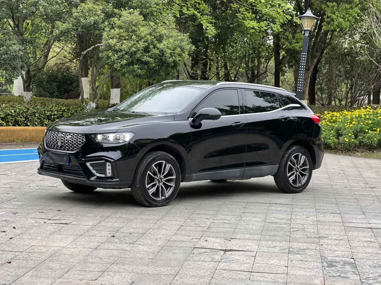 Wey Wei brand VV5