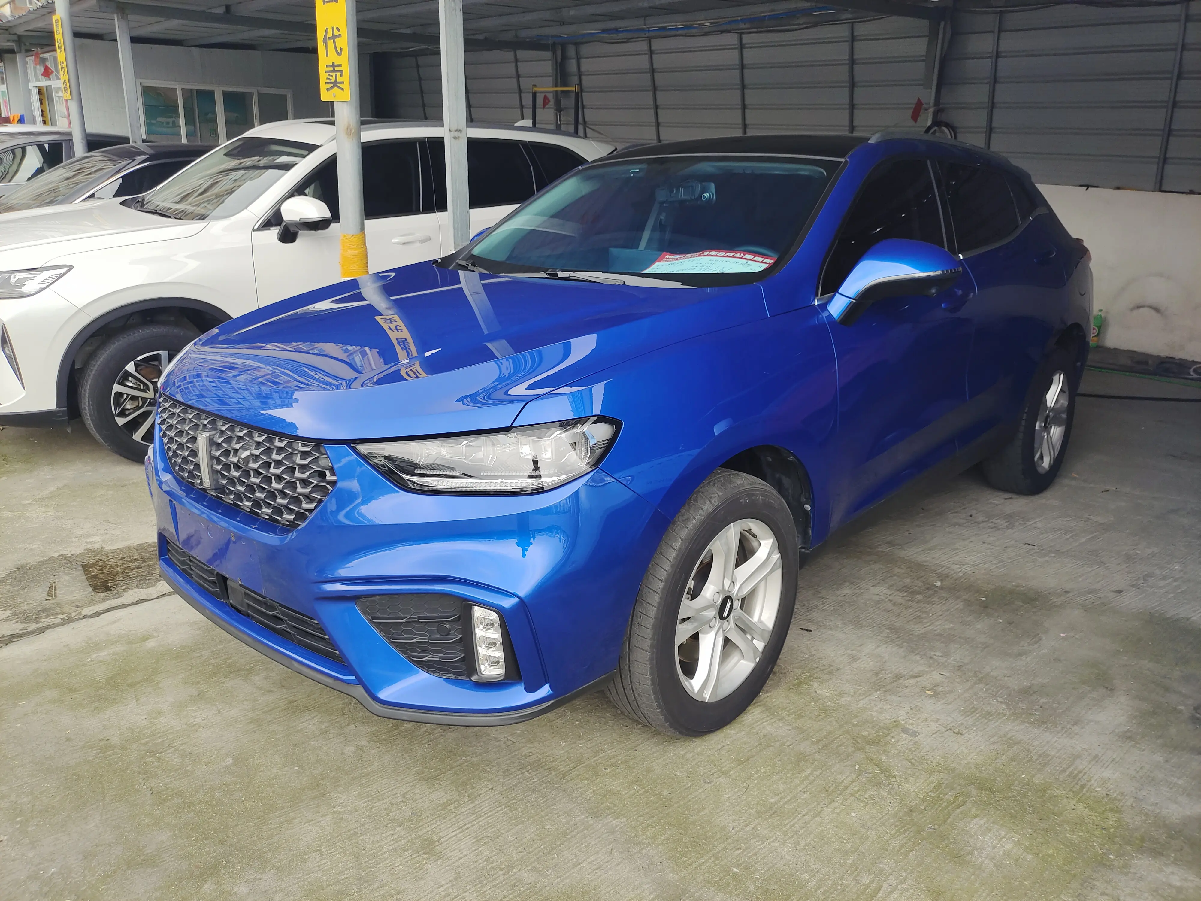Wey Wei brand VV5