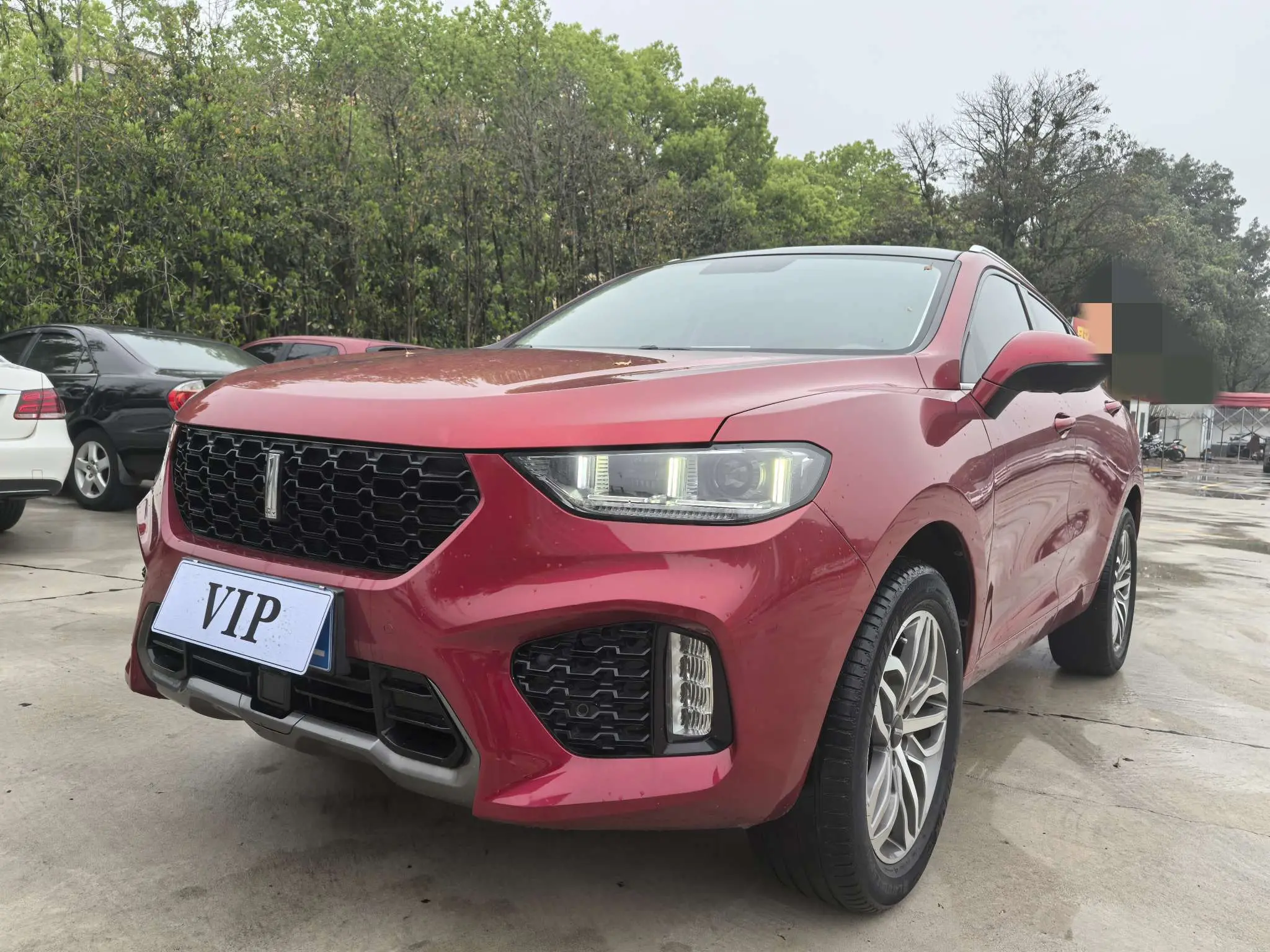 Wey Wei brand VV5