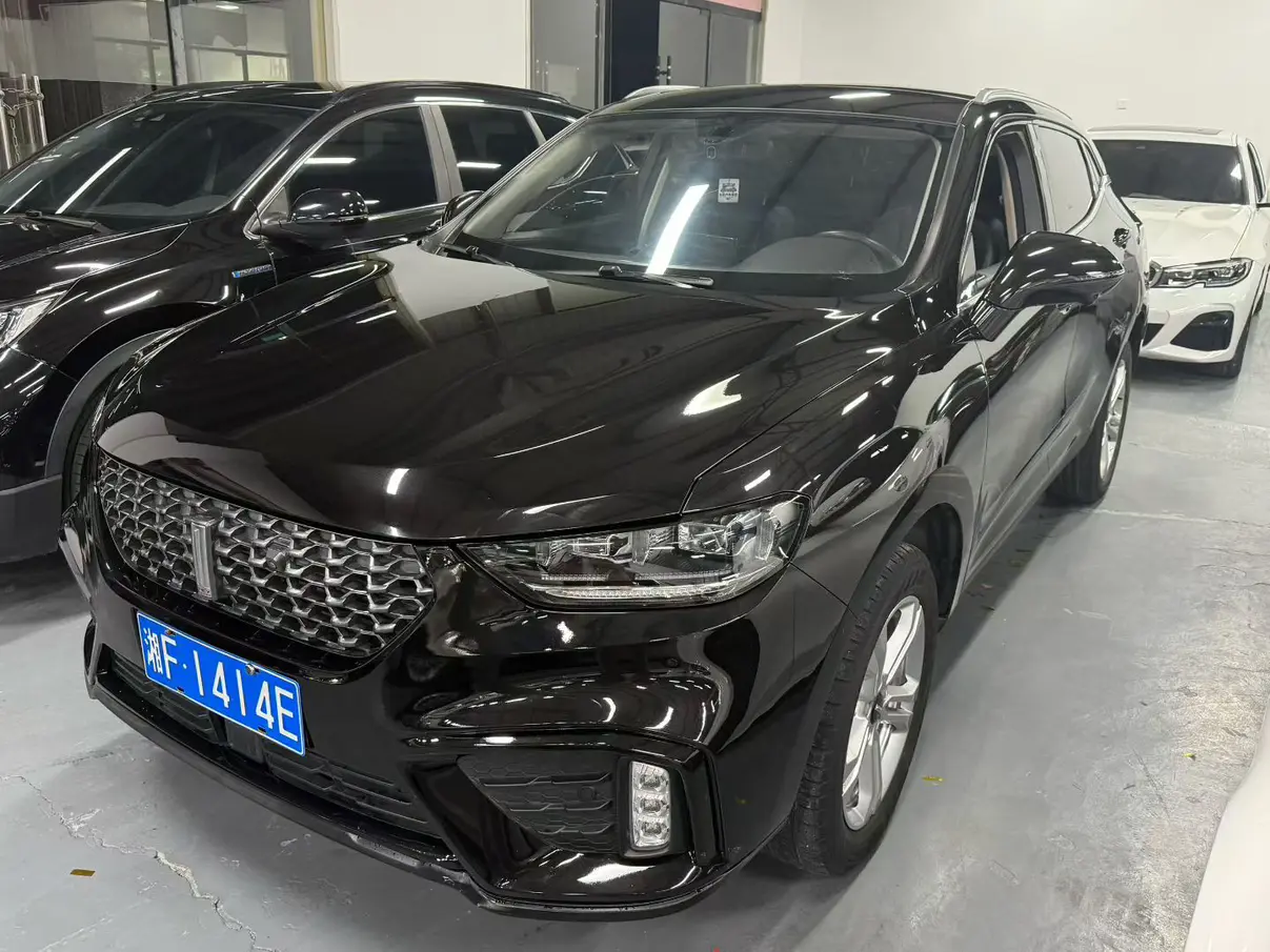 Wey Wei brand VV5