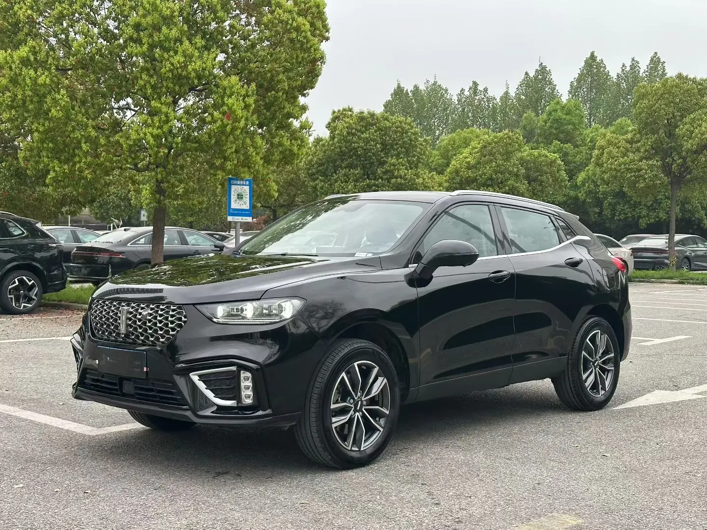 Wey Wei brand VV5