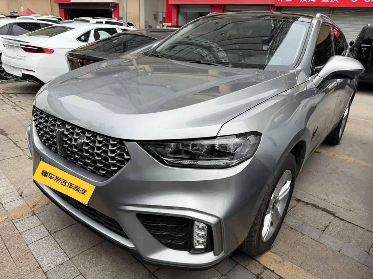 Wey Wei brand VV5