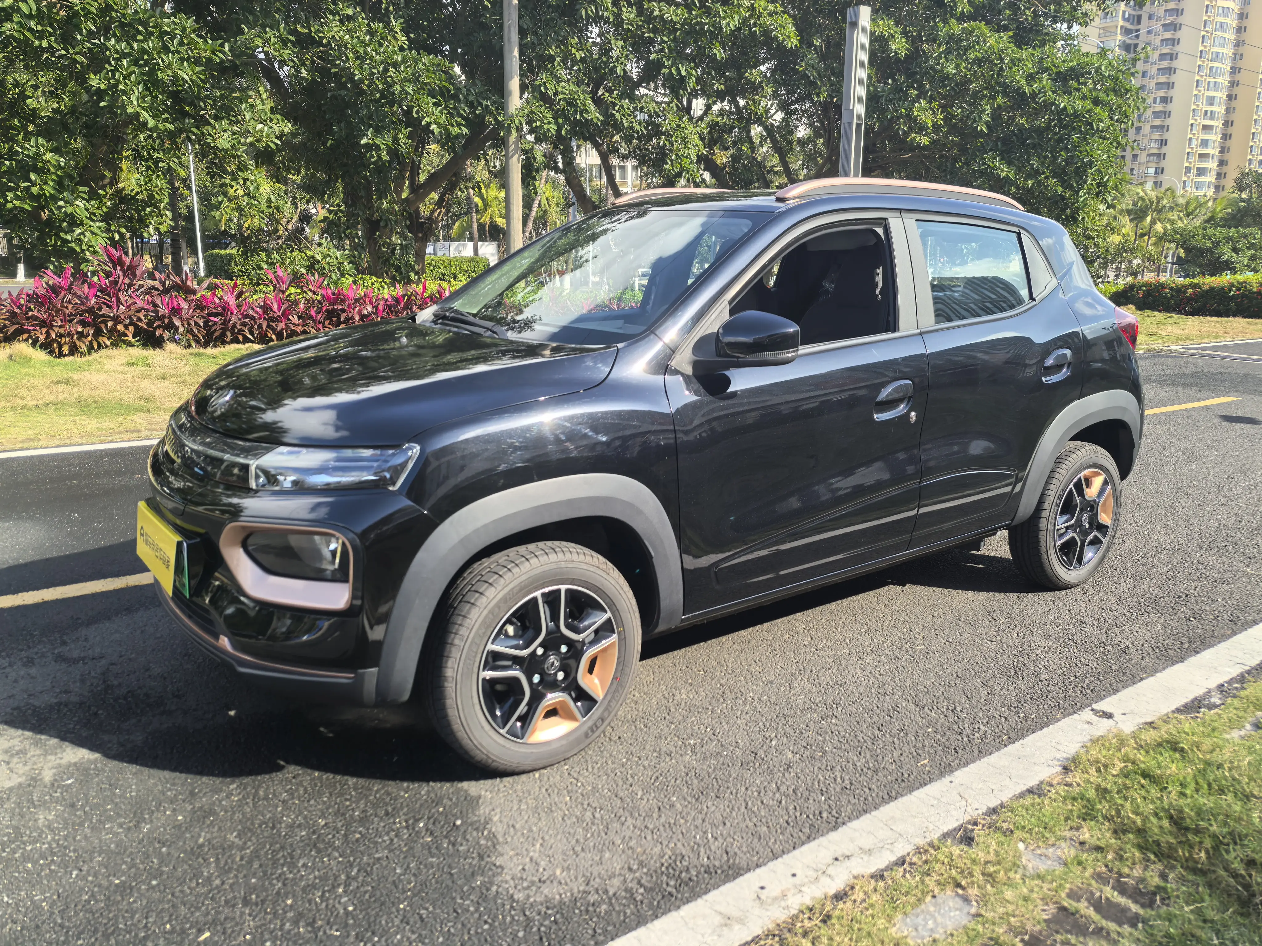 Dongfeng Nano EX1