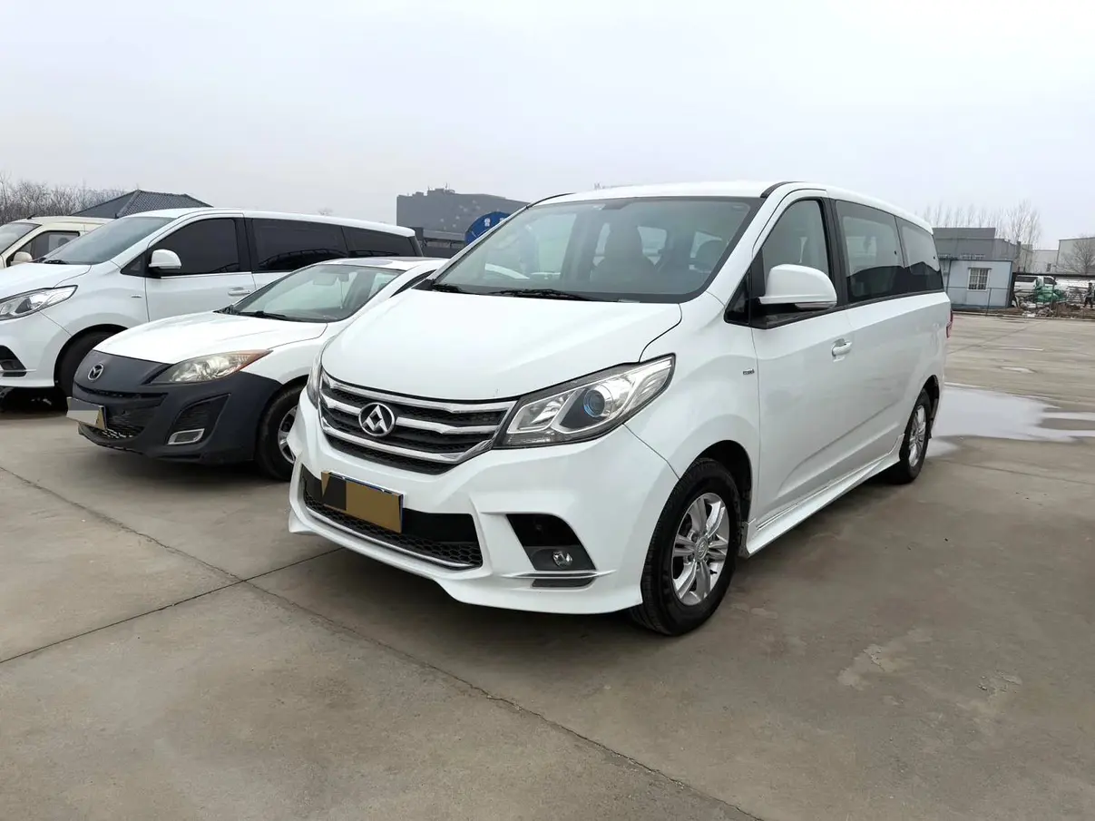 Datong Maxus G10