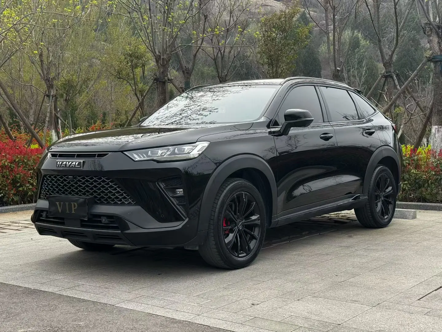 Haval H6S