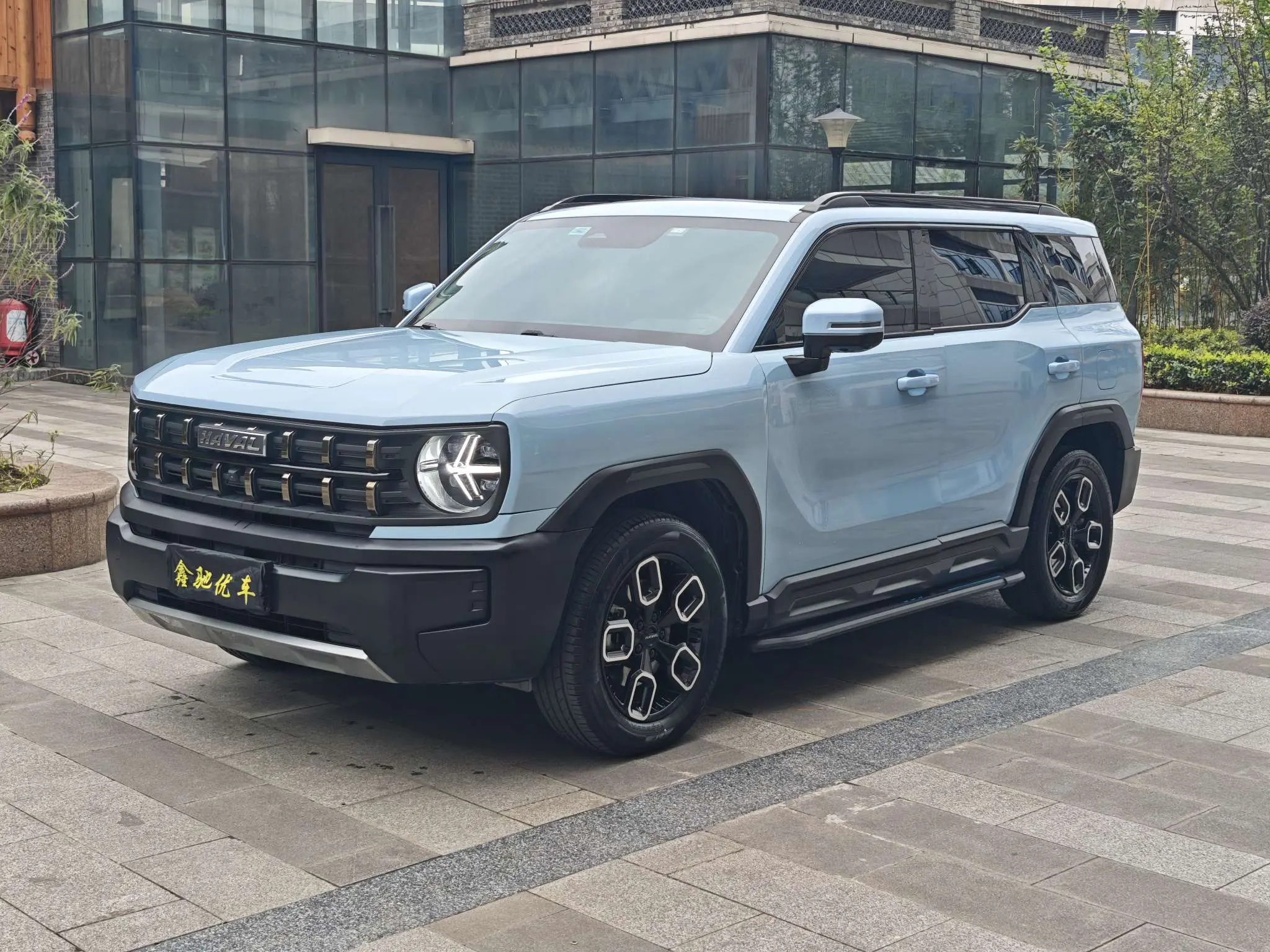 Haval cool dog