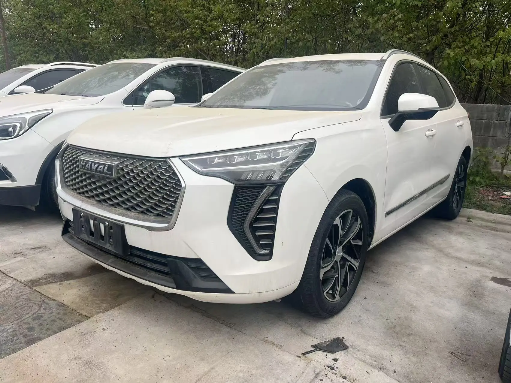 Haval Jolion