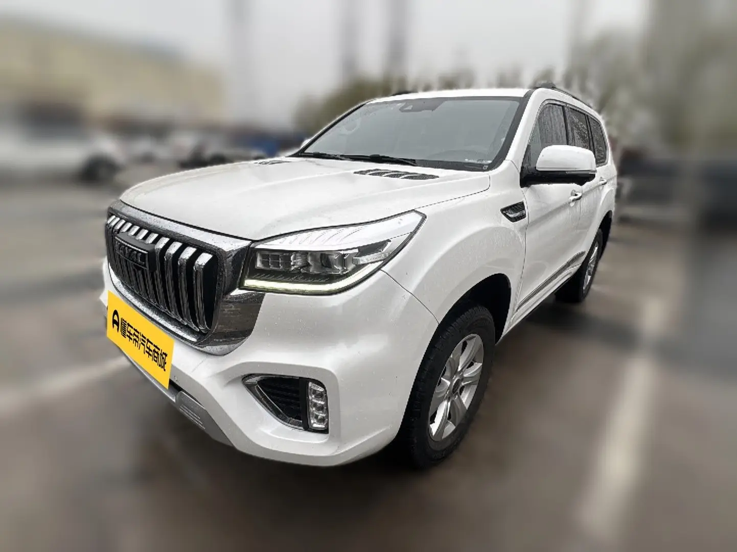 Haval H9