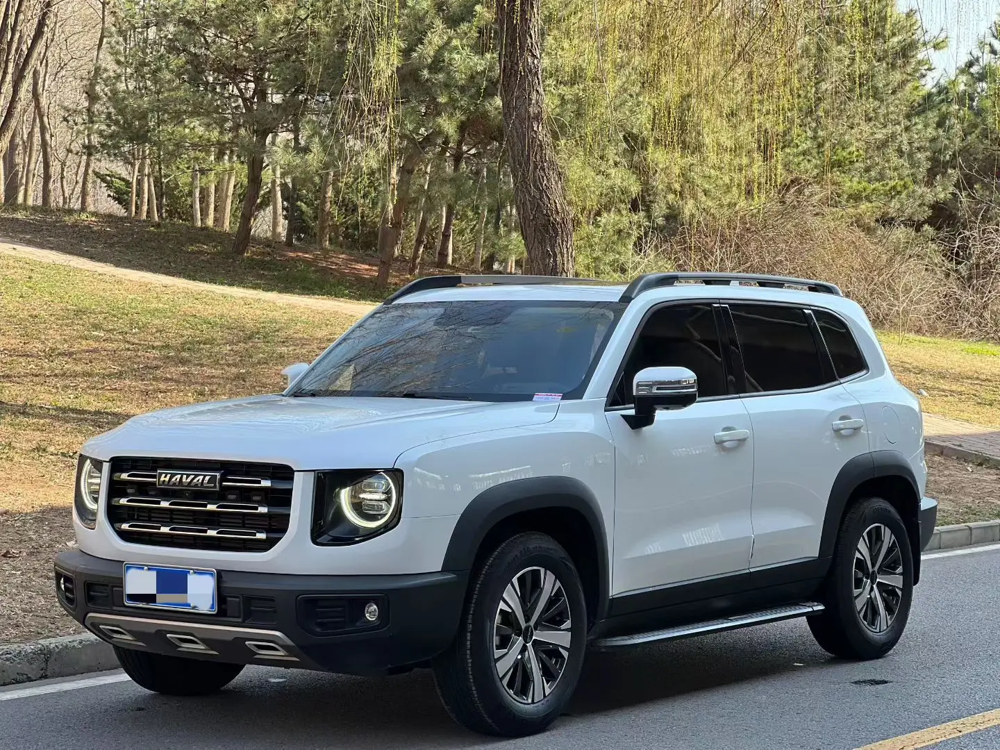 Haval Dargo
