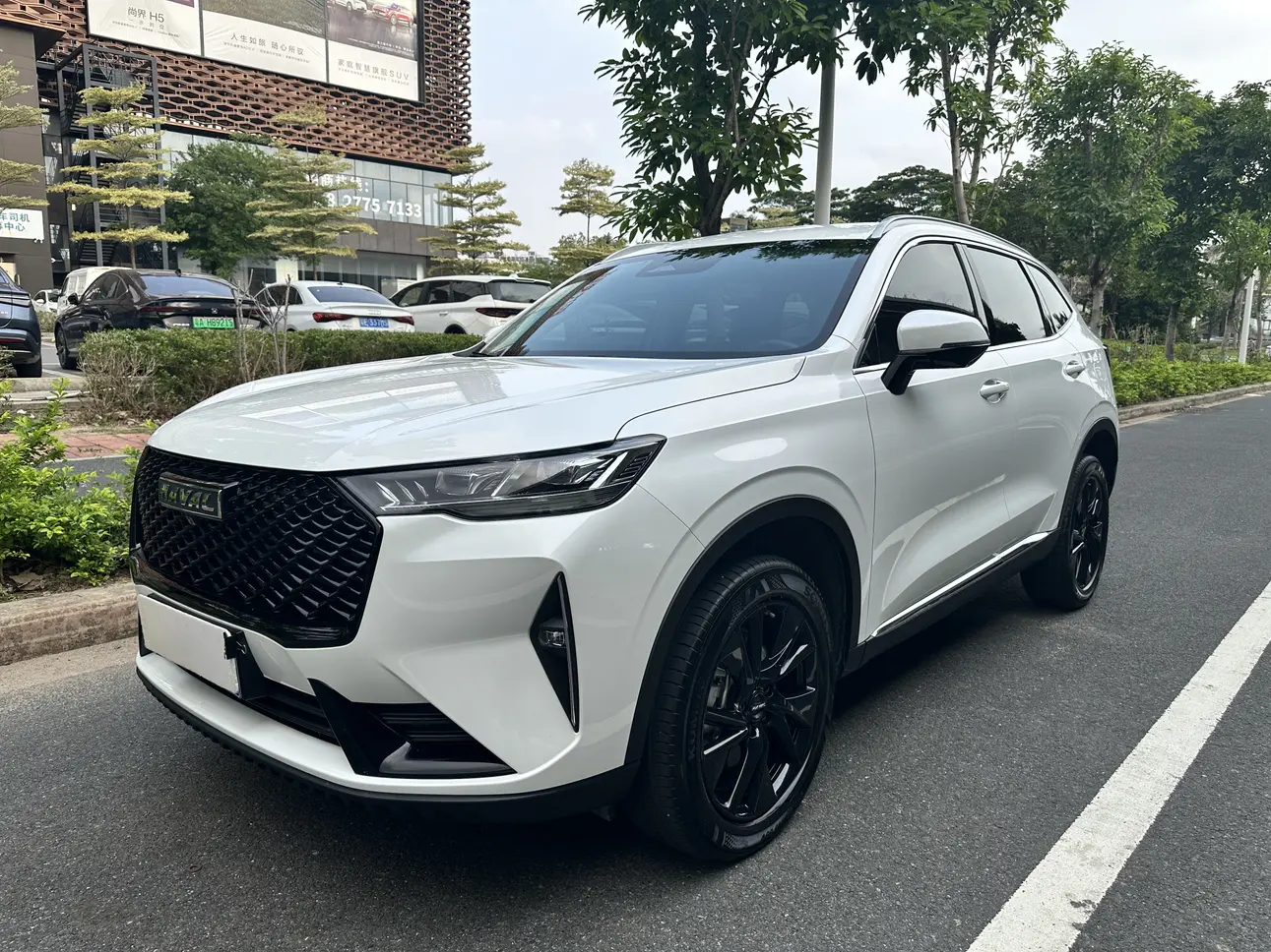 Haval H6