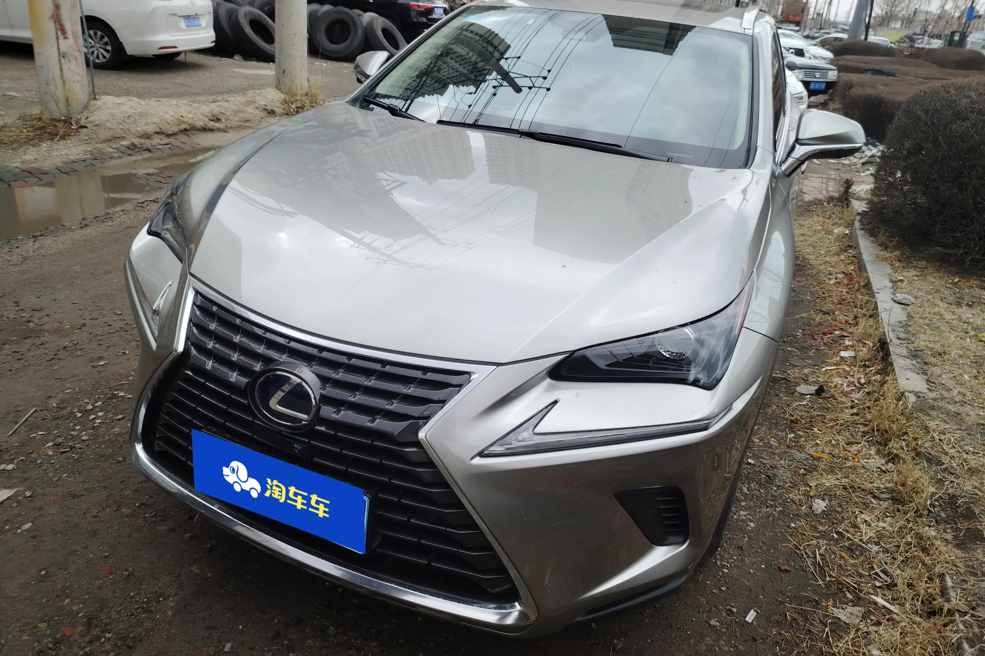 Lexus NX