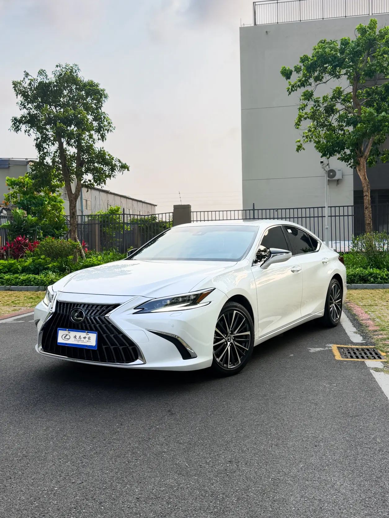 Lexus ES