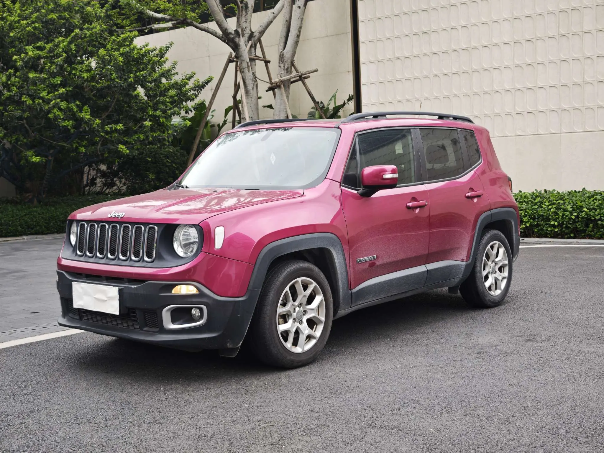 Jeep Freeman