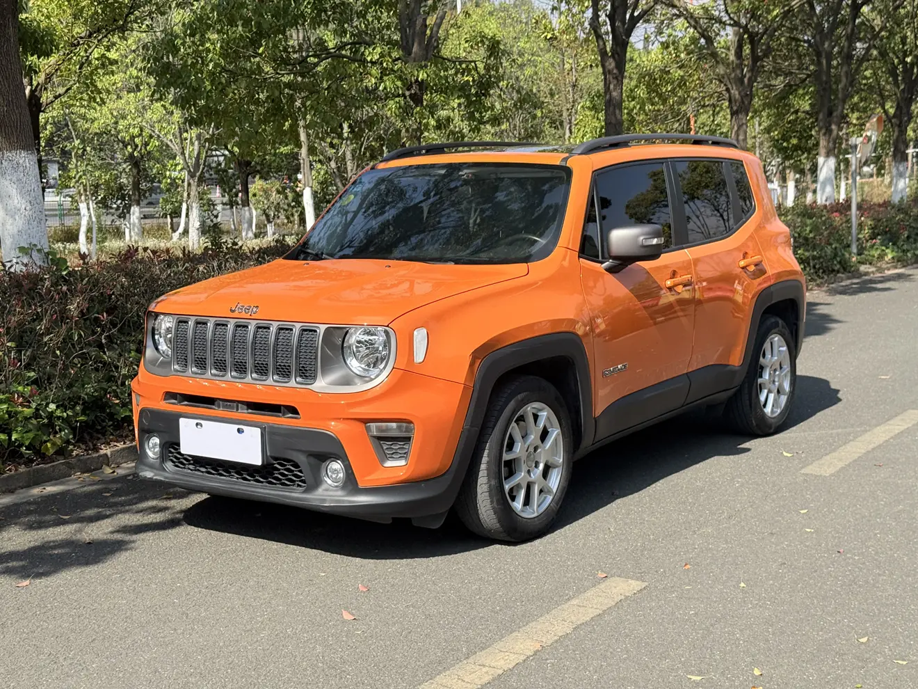 Jeep Freeman