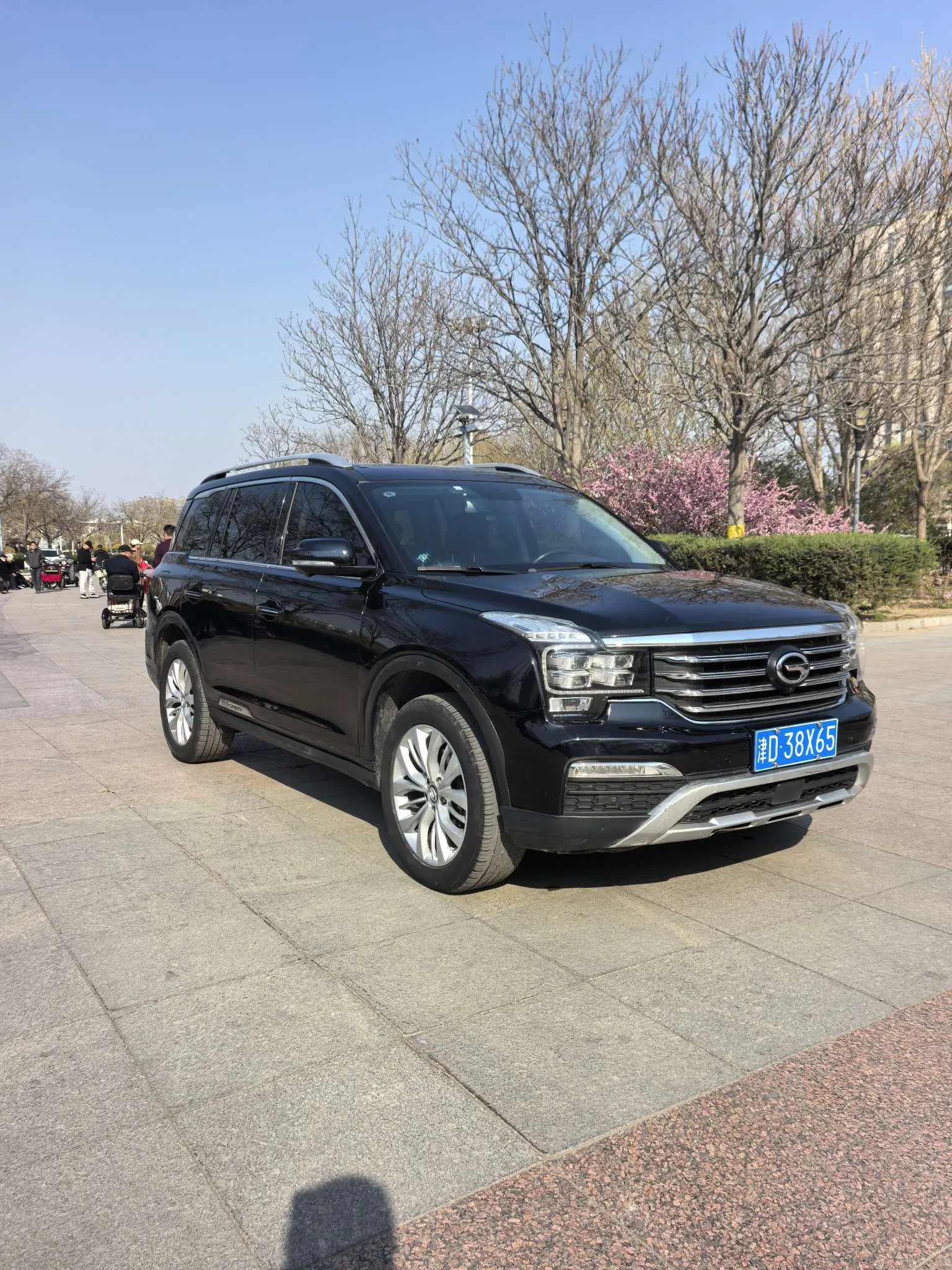 GAC Trumpchi GS8