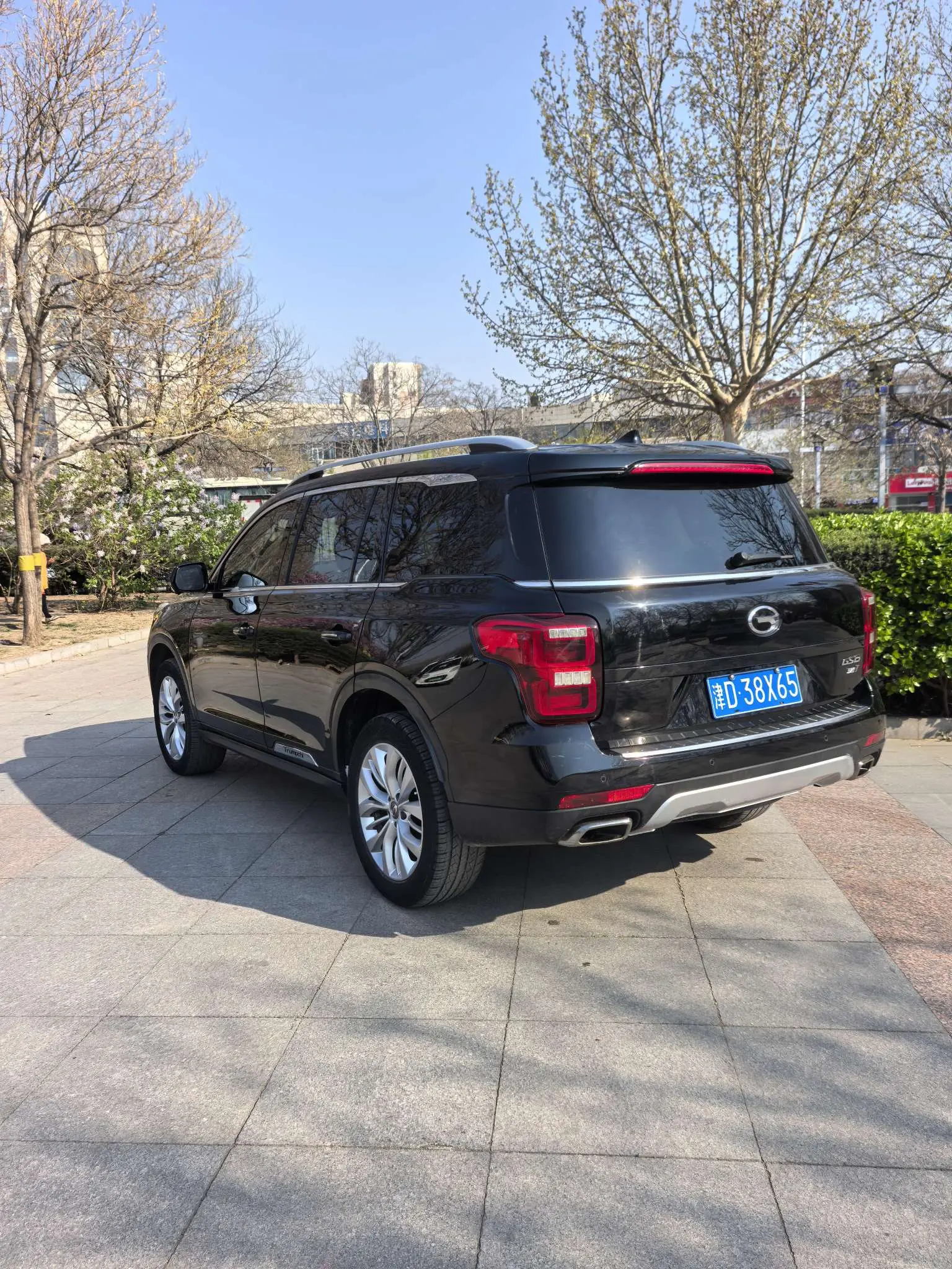 GAC Trumpchi GS8