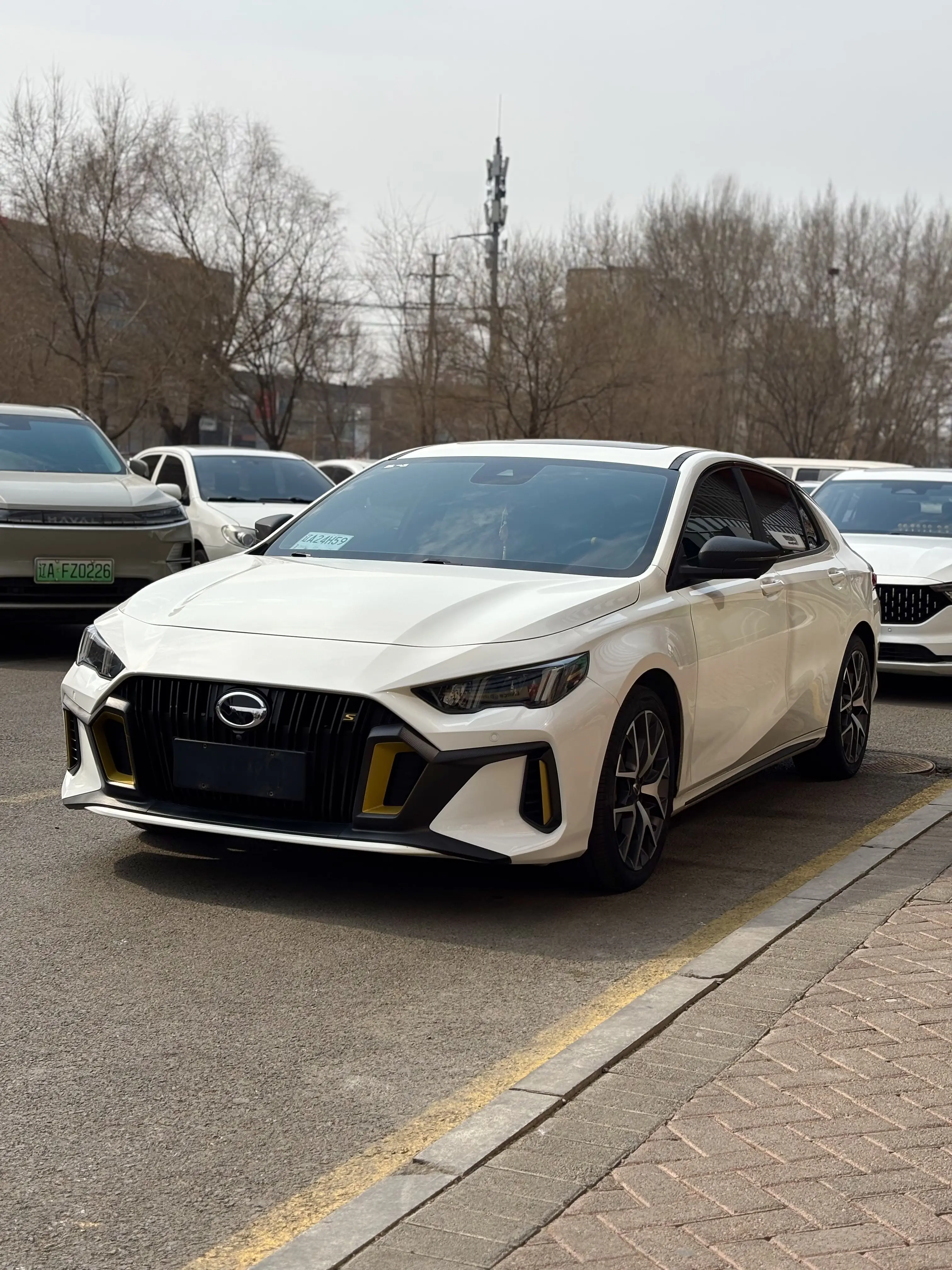 GAC Shadow Leopard
