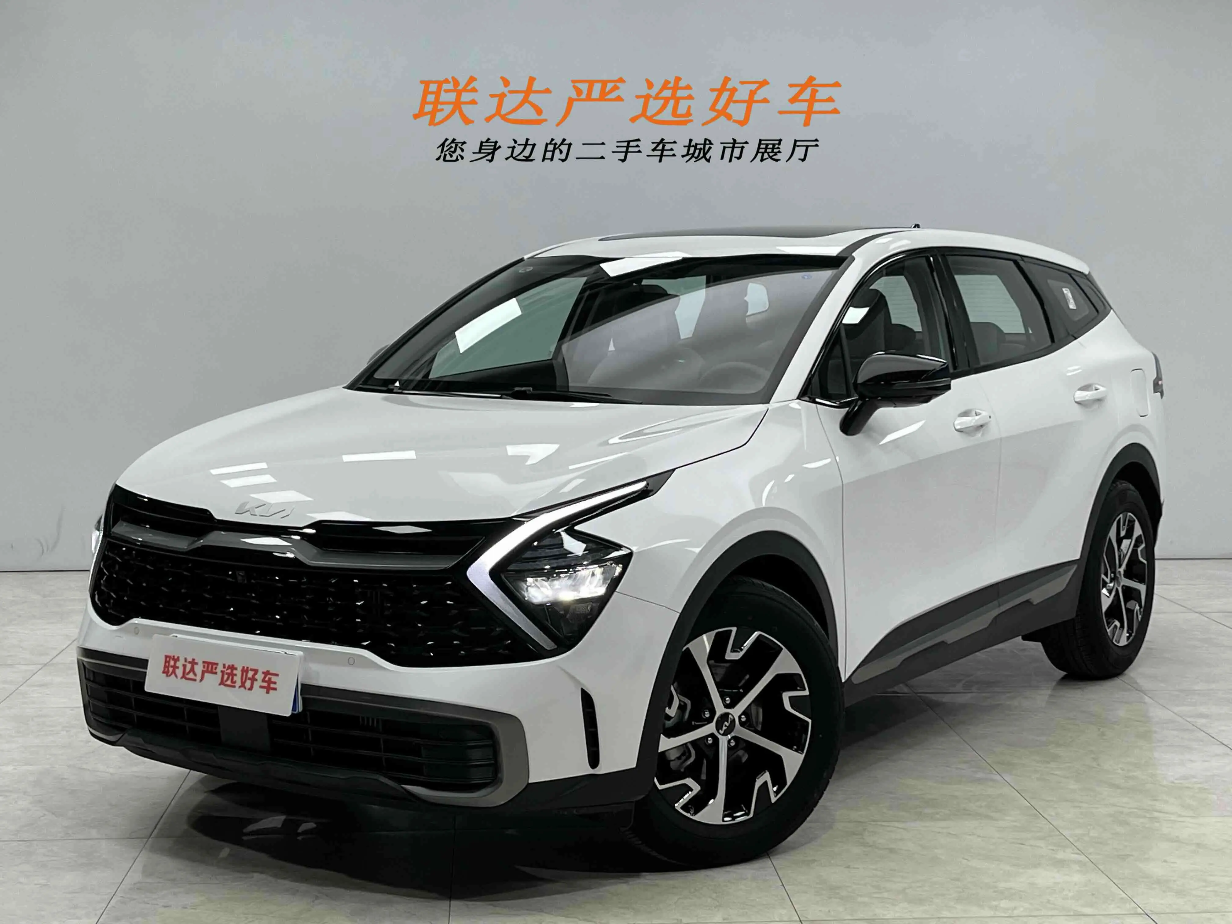 Kia Lion Platinum Expands the Boundary