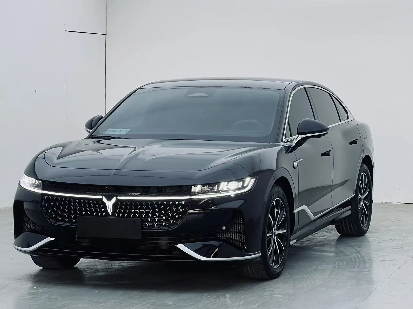 Voyah Passion PHEV