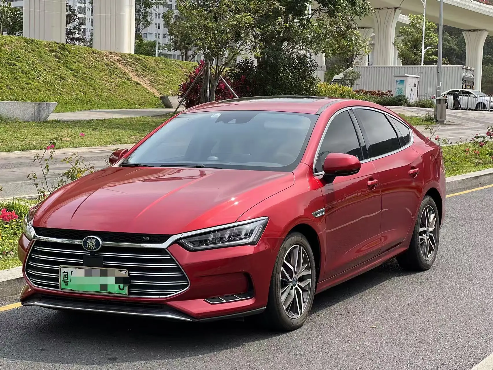 BYD Qin Pro DM