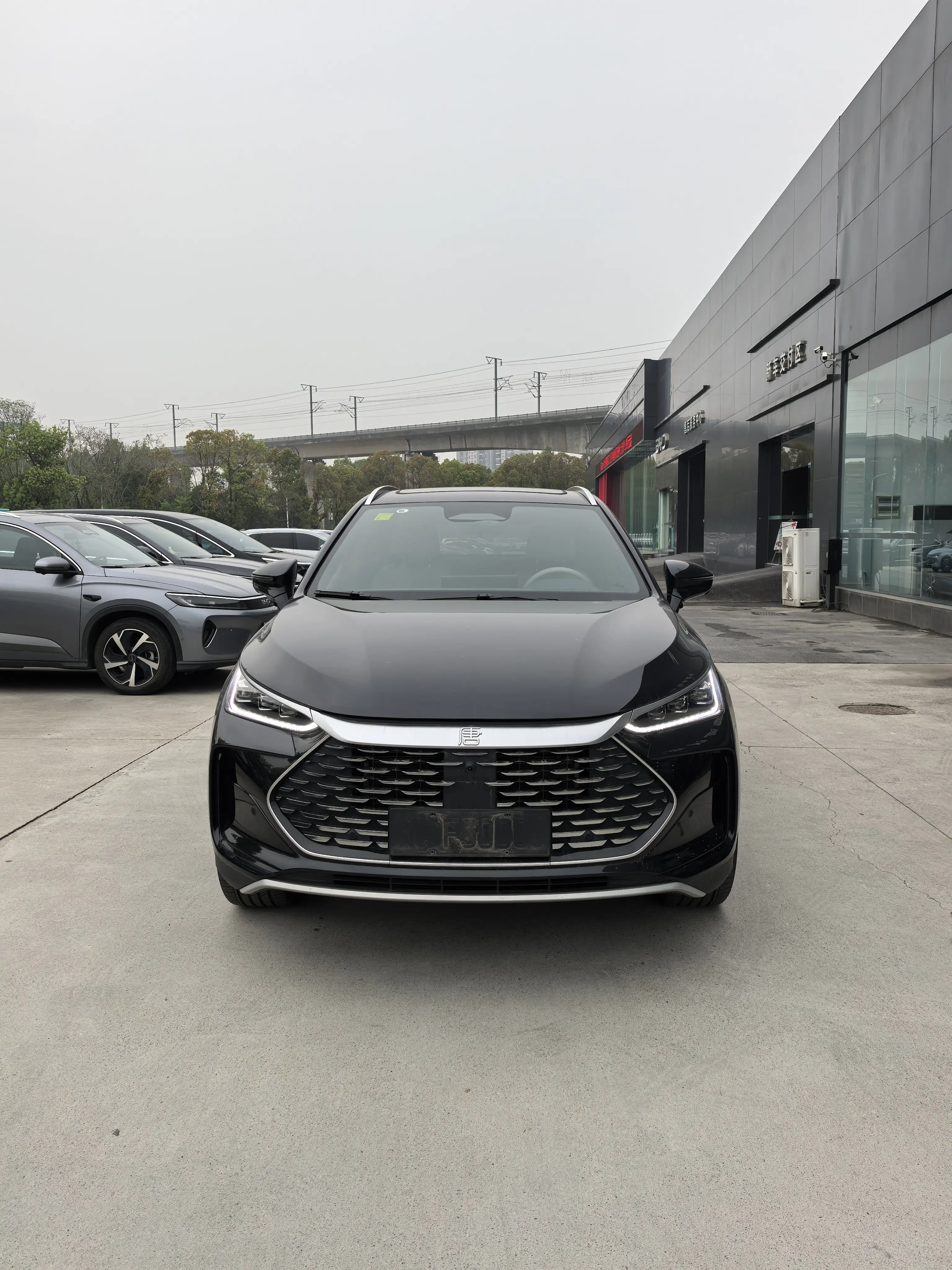 BYD Tang DM