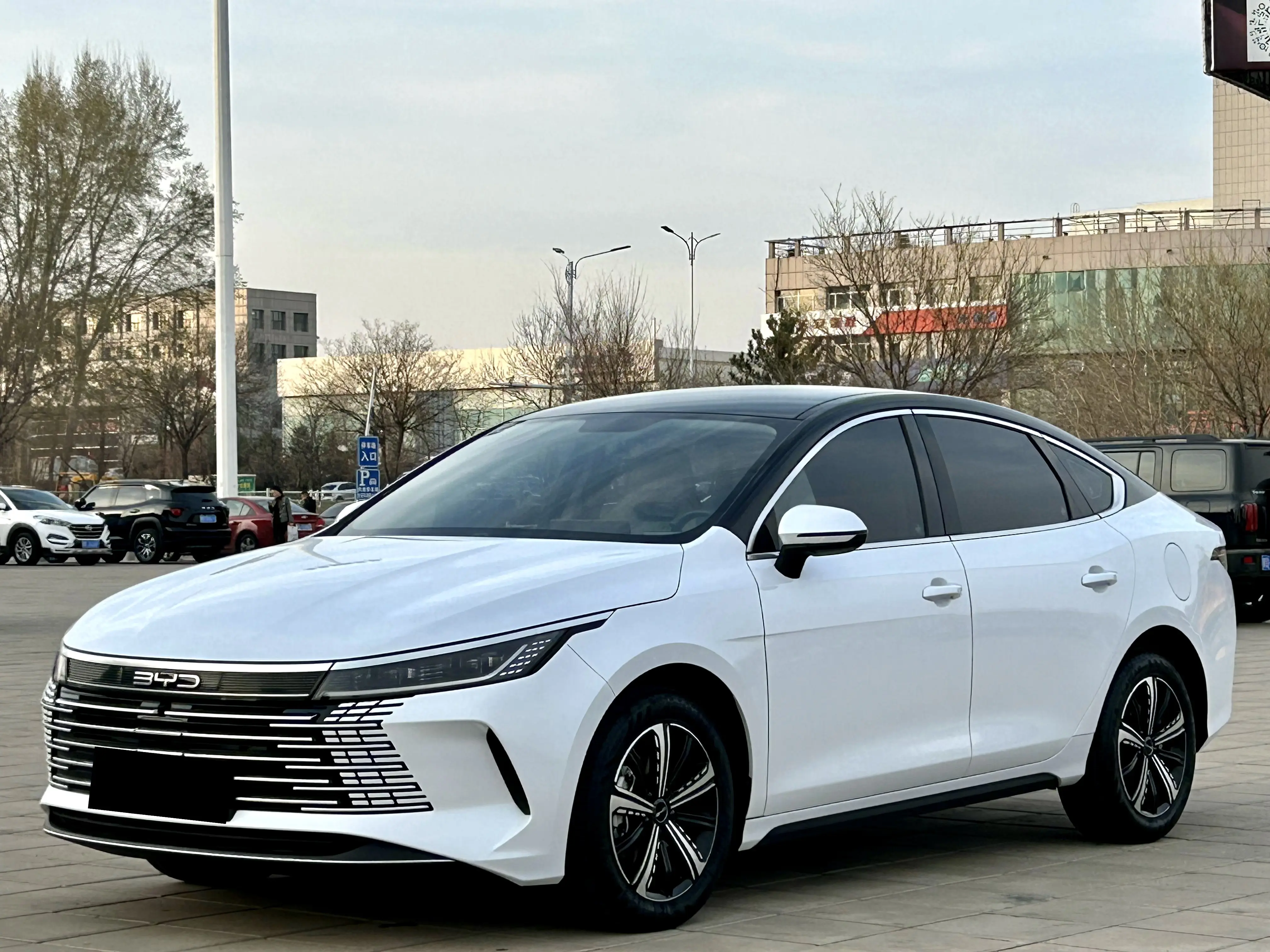 BYD Destroyer 05