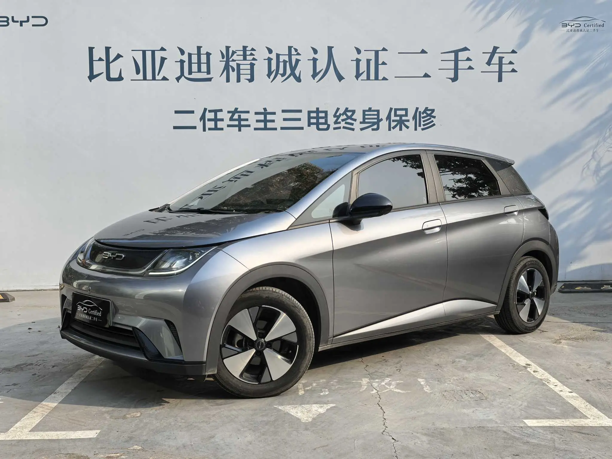 BYD Dolphin