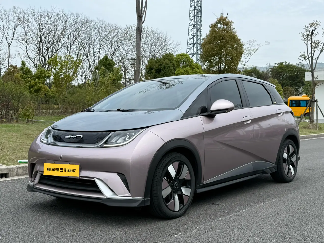 BYD Dolphin