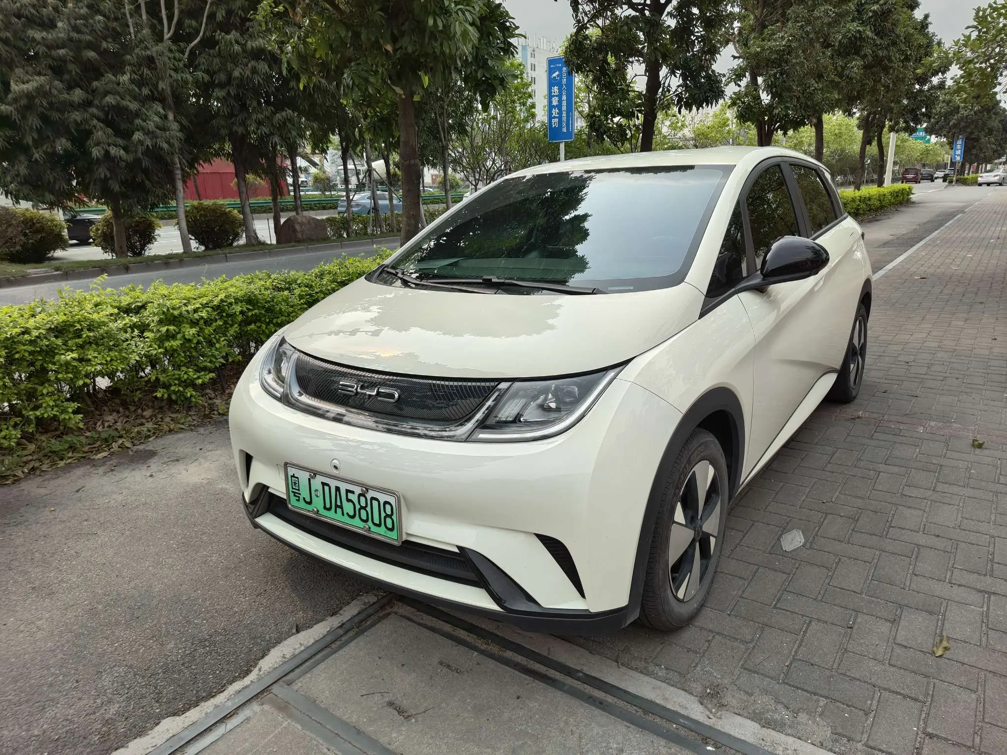BYD Dolphin