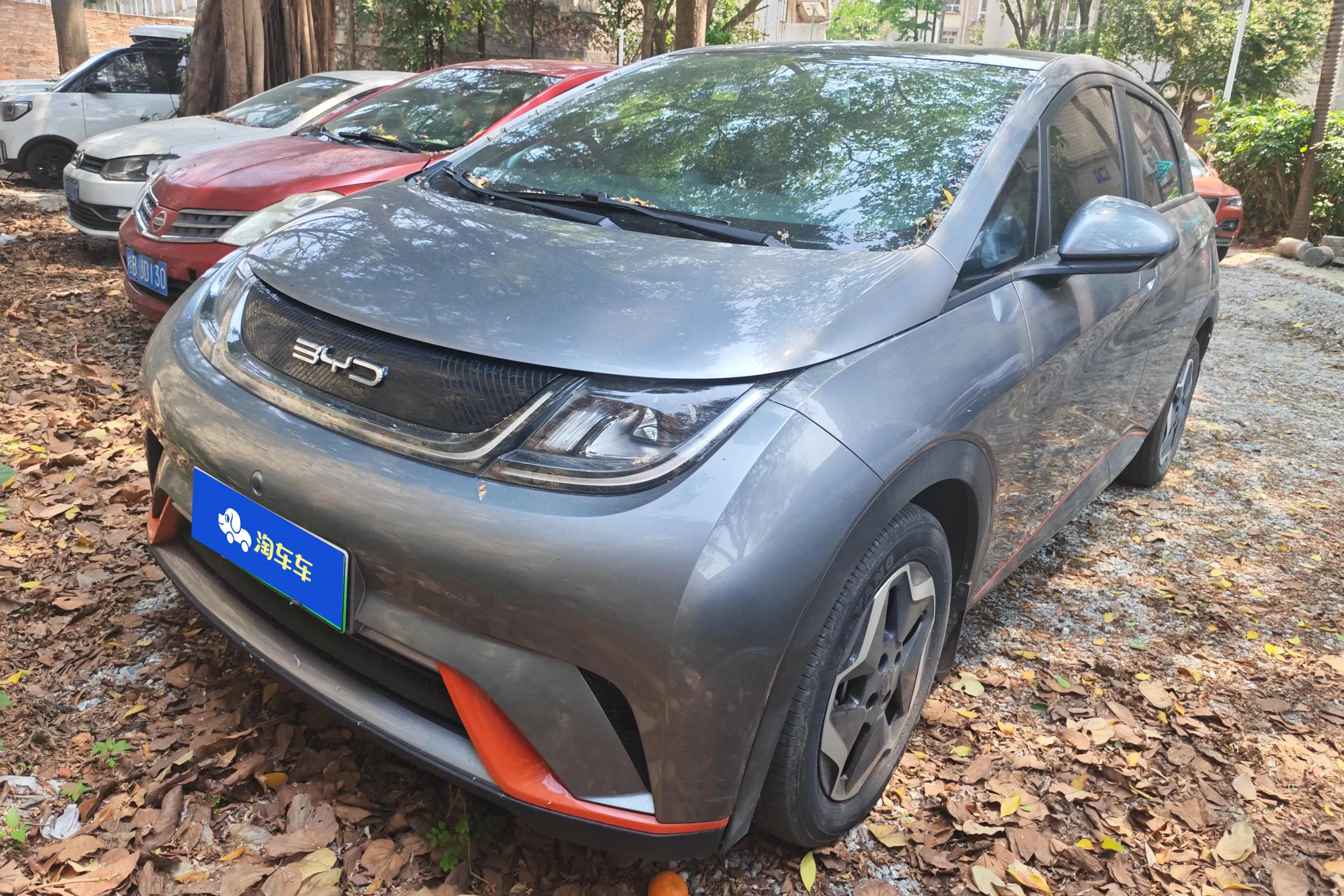 BYD Dolphin
