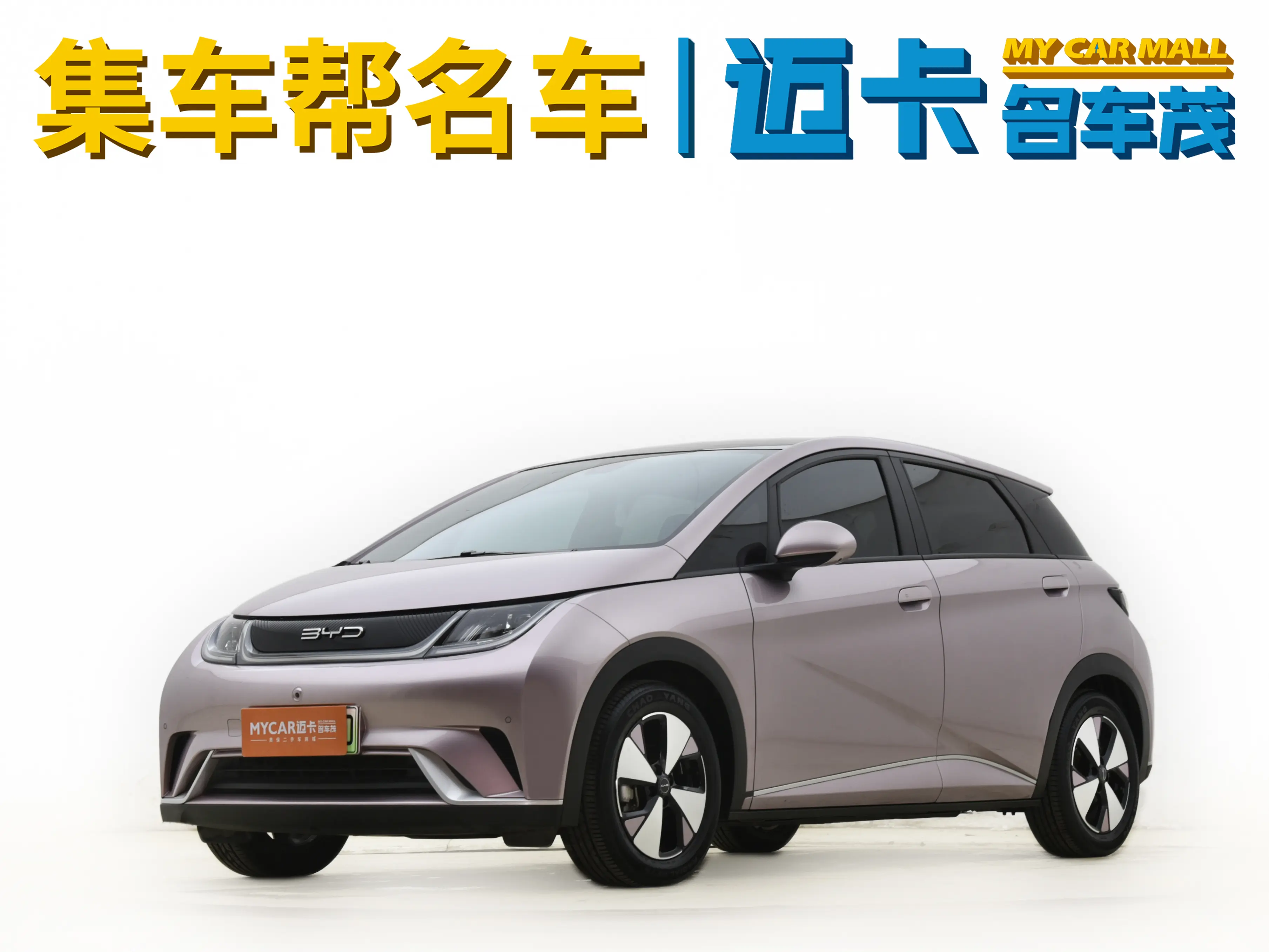 BYD Dolphin