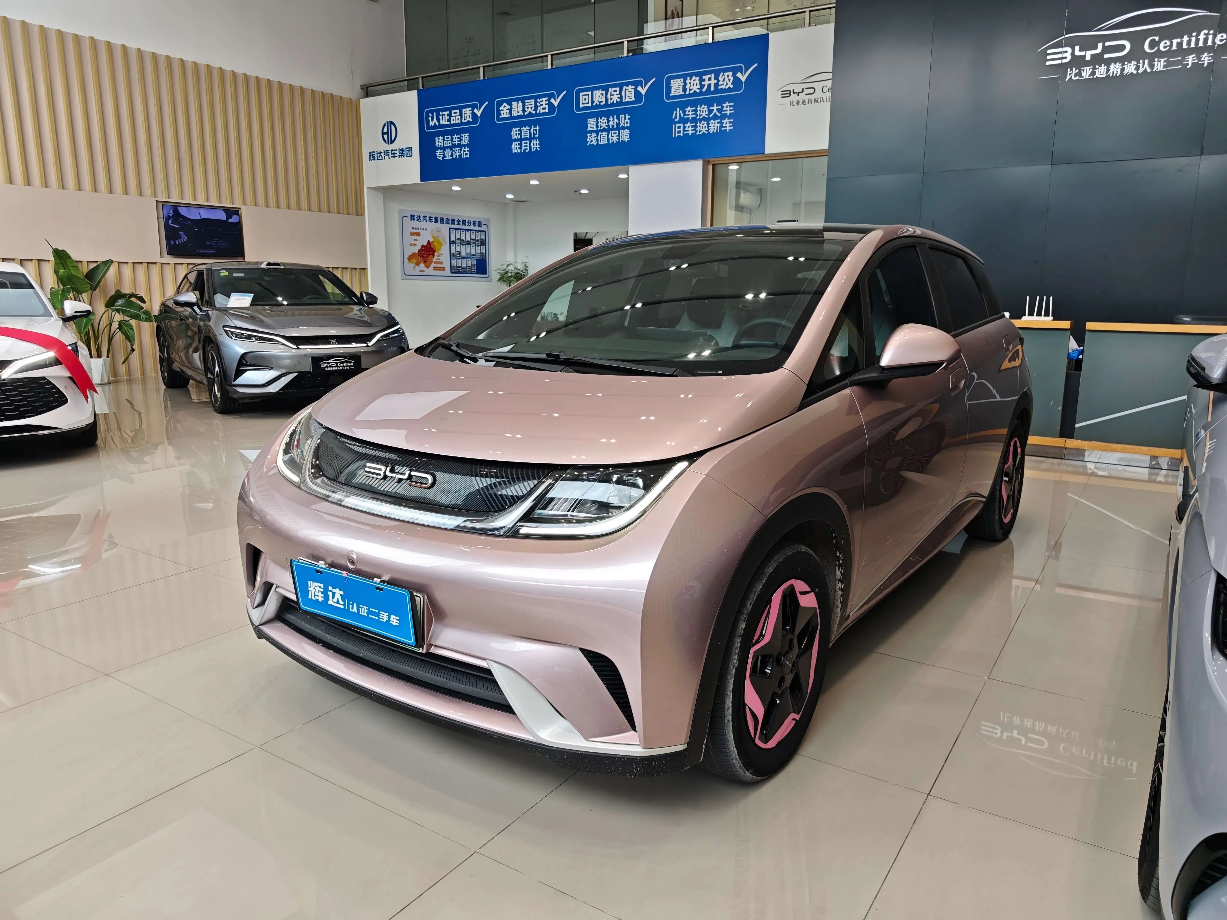 BYD Dolphin
