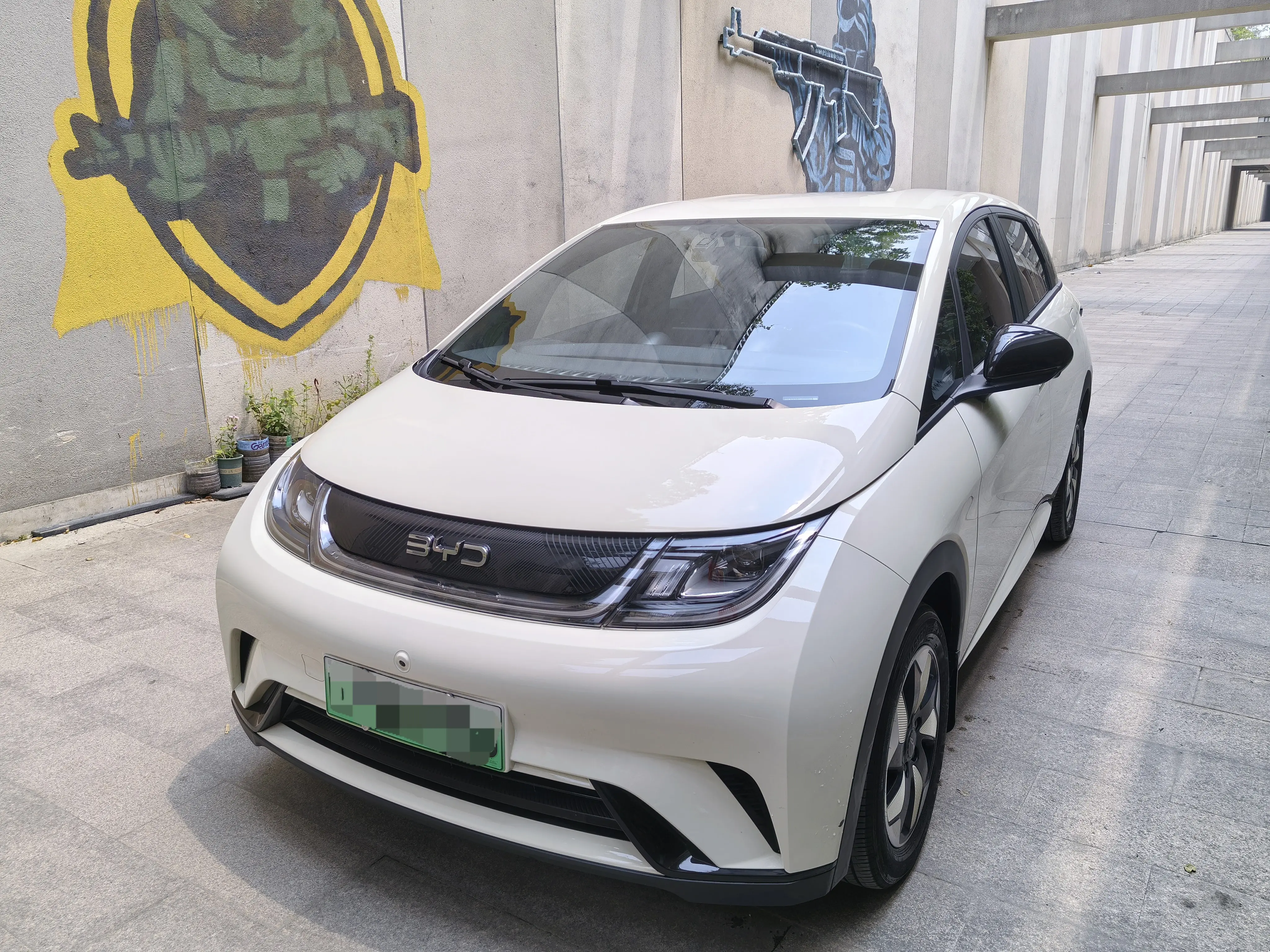 BYD Dolphin