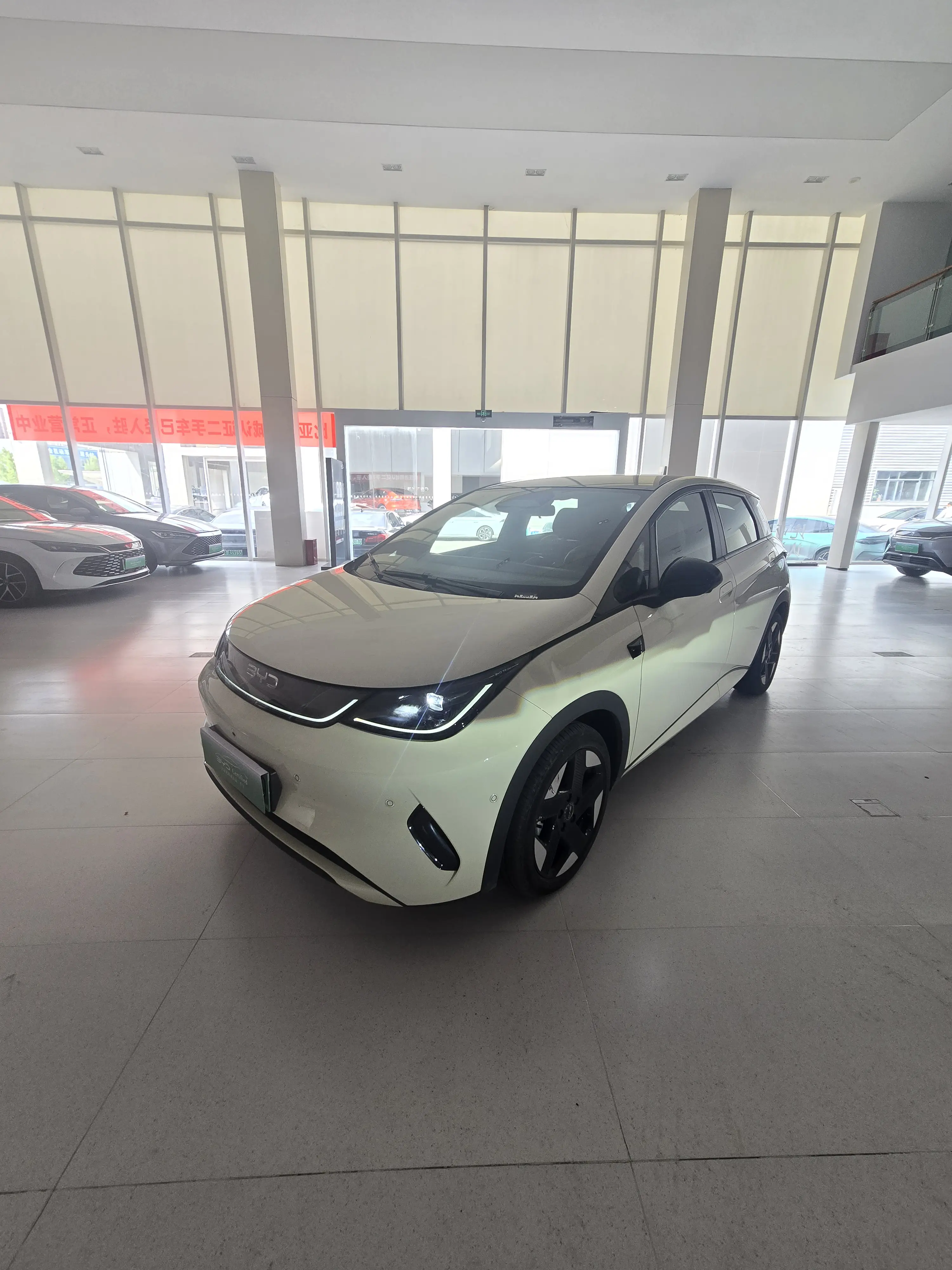 BYD Dolphin