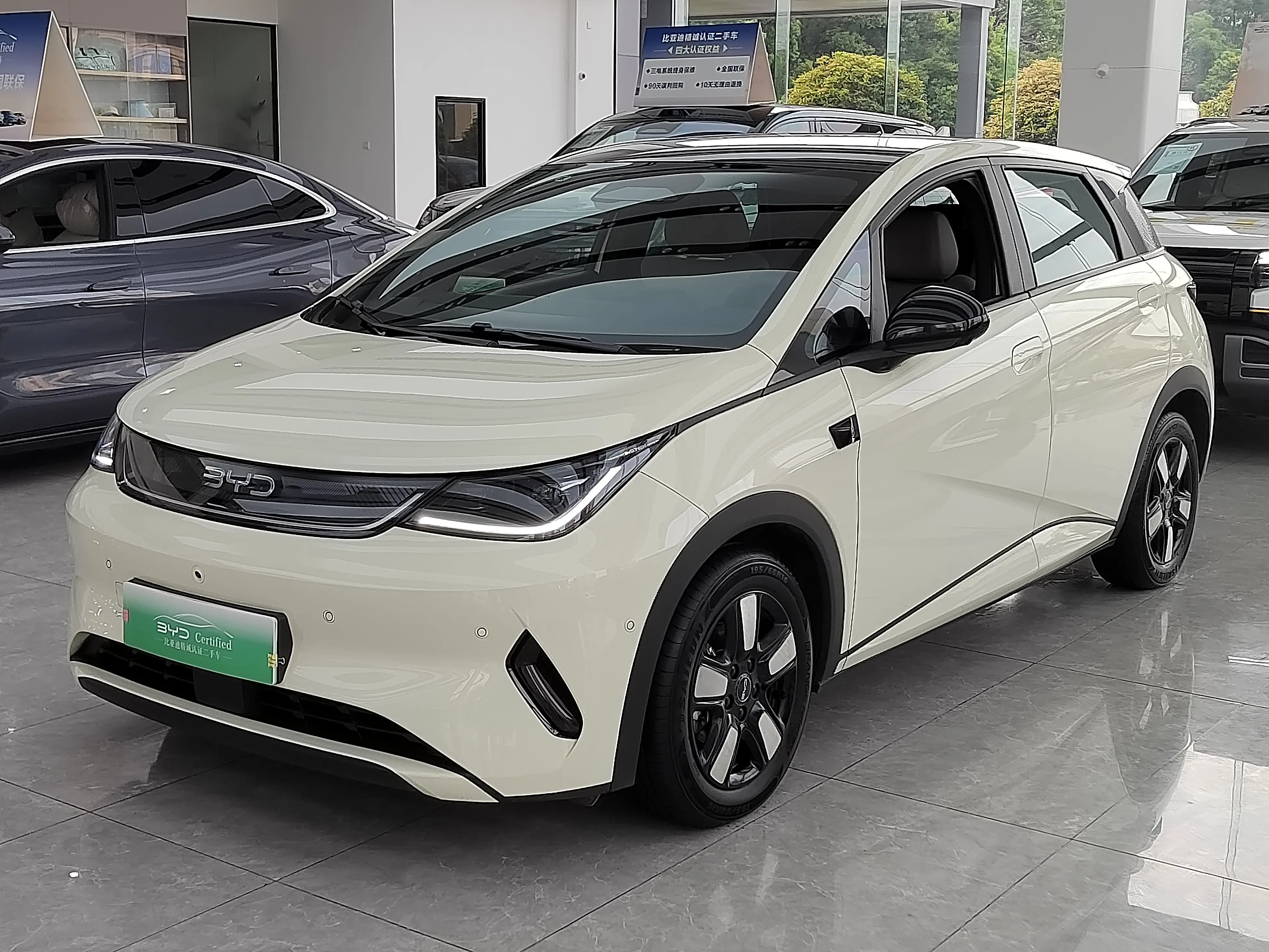 BYD Dolphin