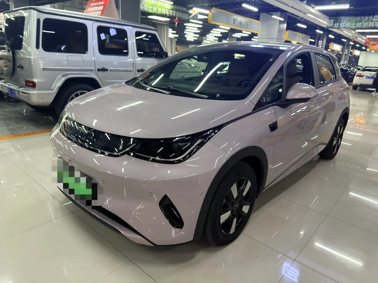 BYD Dolphin
