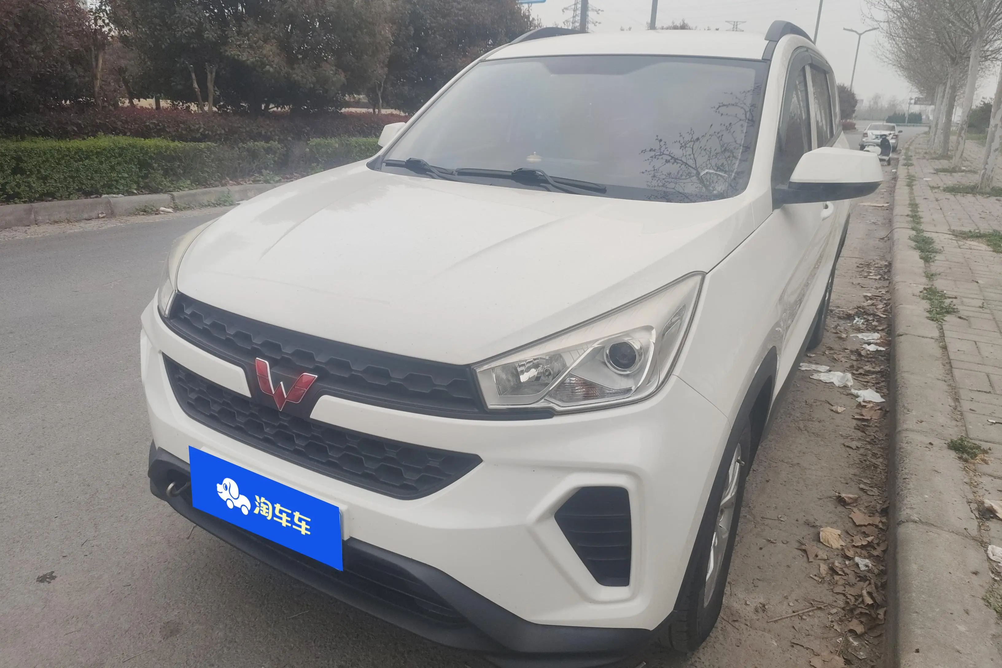 Wuling Hongguang S3